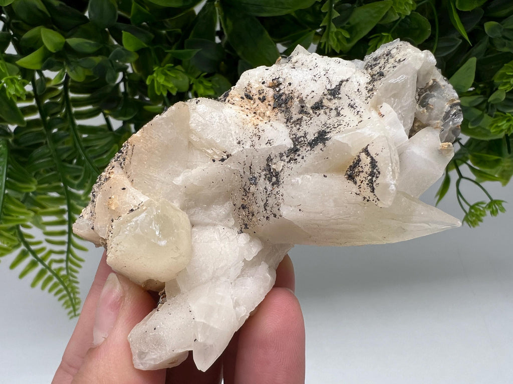 Calcite on Green Quartz: Djurcovo Mine, Bulgaria Healing Crystal