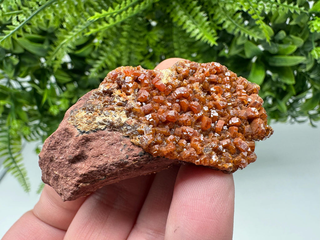 Red Vanadinite on Matrix from Marocco,crystal minerals Speciment cluster Vanadinite crystal Vanadinite Geology Vanadinite cluster minerals