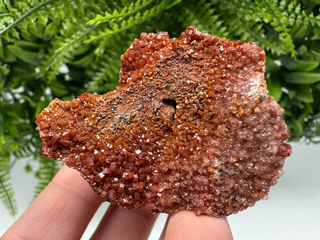 Red Vanadinite on Matrix from Marocco,crystal minerals Speciment cluster Vanadinite crystal Vanadinite Geology Vanadinite cluster minerals