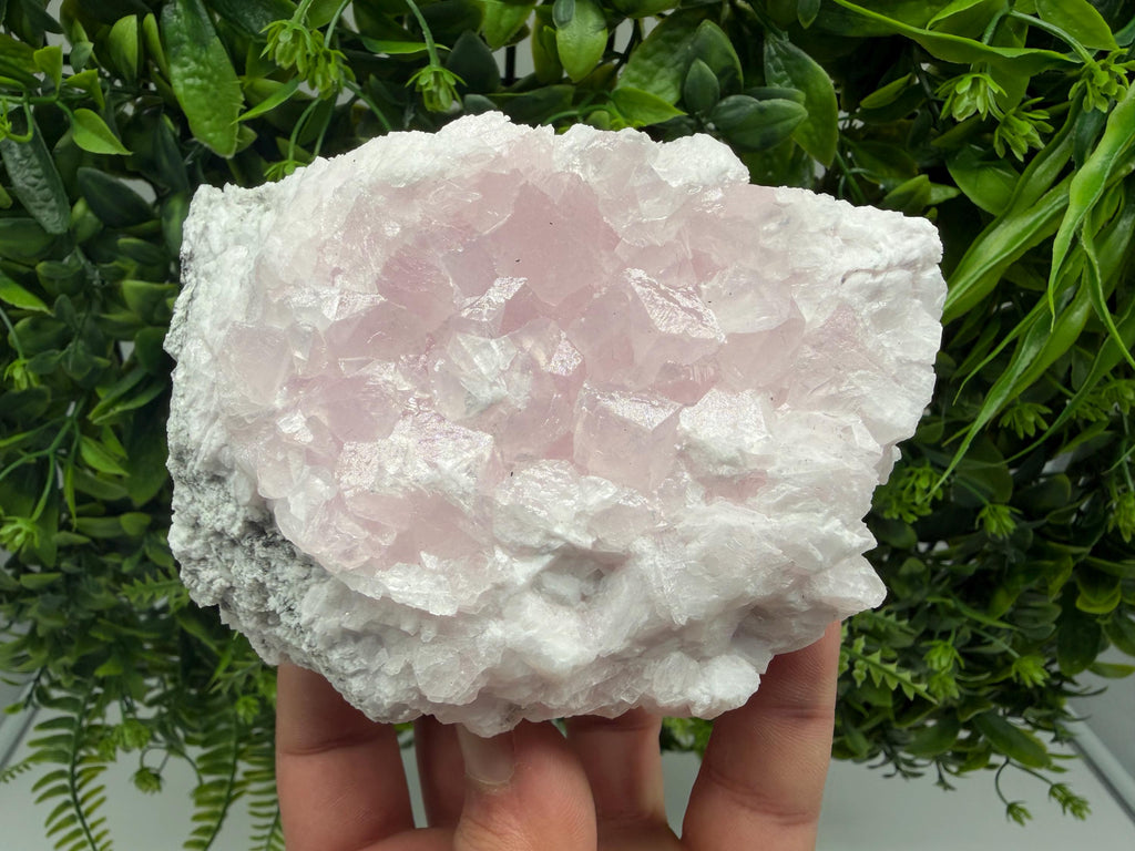 Mangano Calcite with Galena, Borieva Mine, Bulgaria