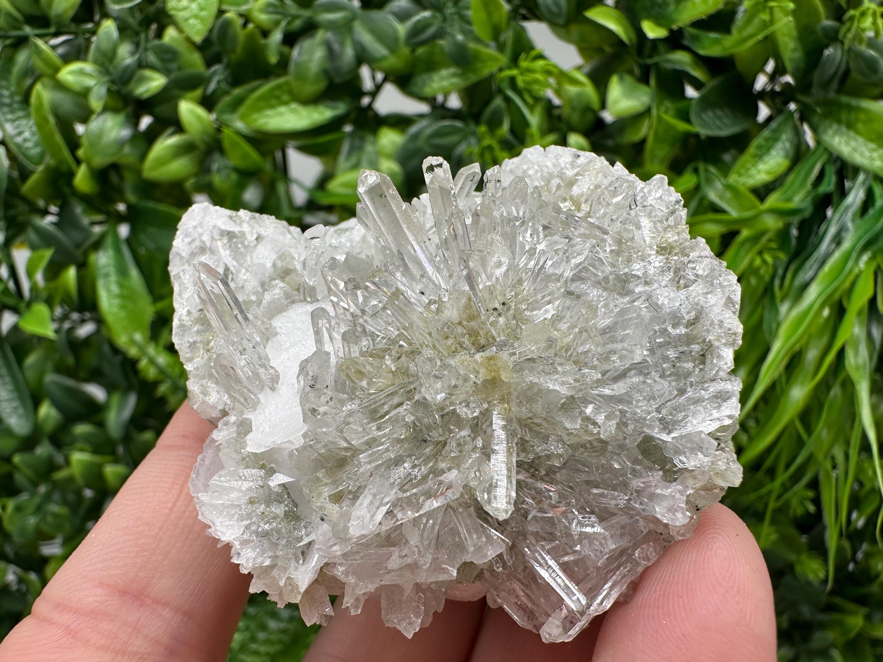Quartz Calcite on Chlorite Matrix, Rare Mineral Specimen, Bulgaria