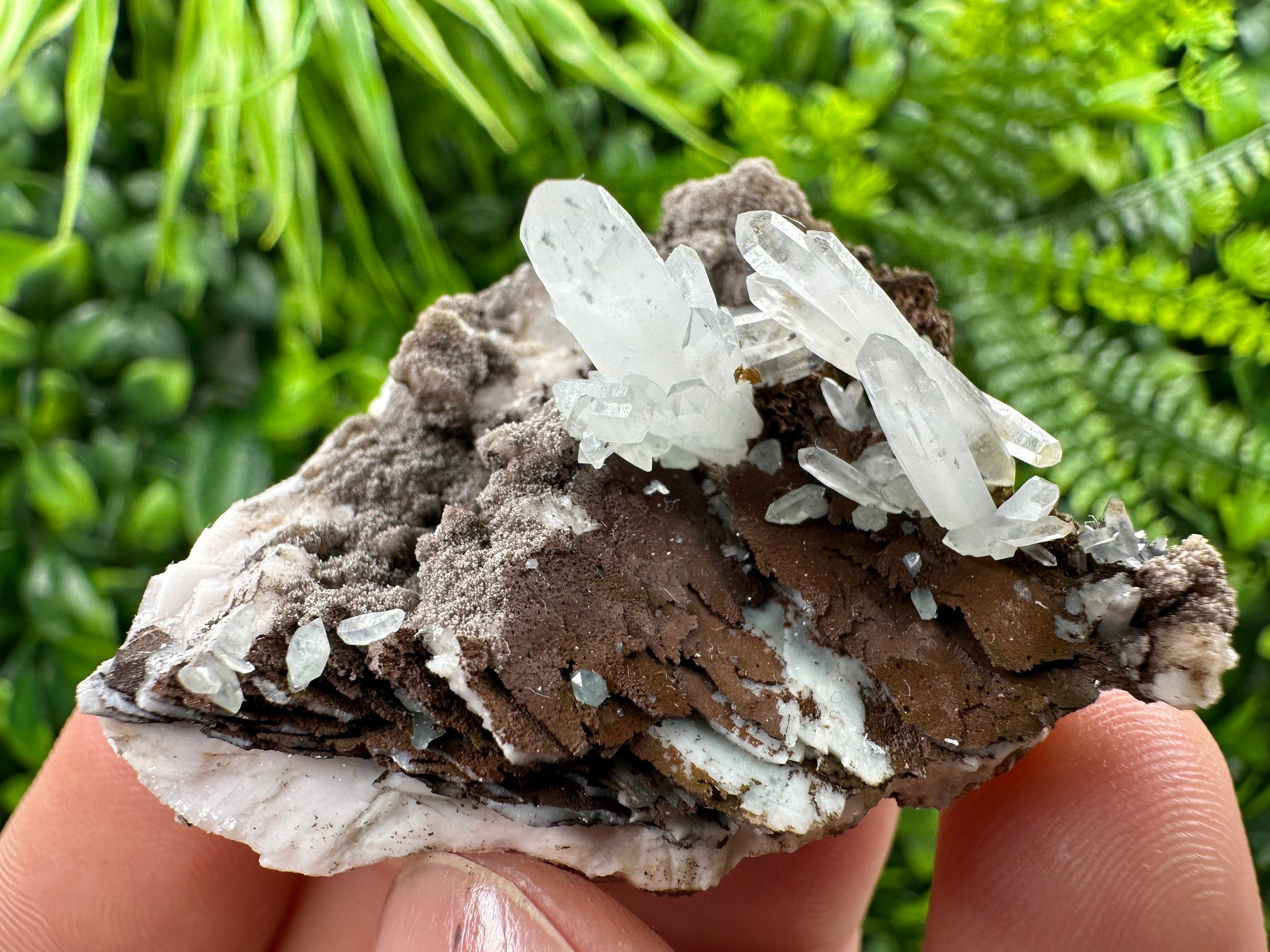 Quartz with Chlorite, Rhodochrosite, Siderite Crystal Home Decor