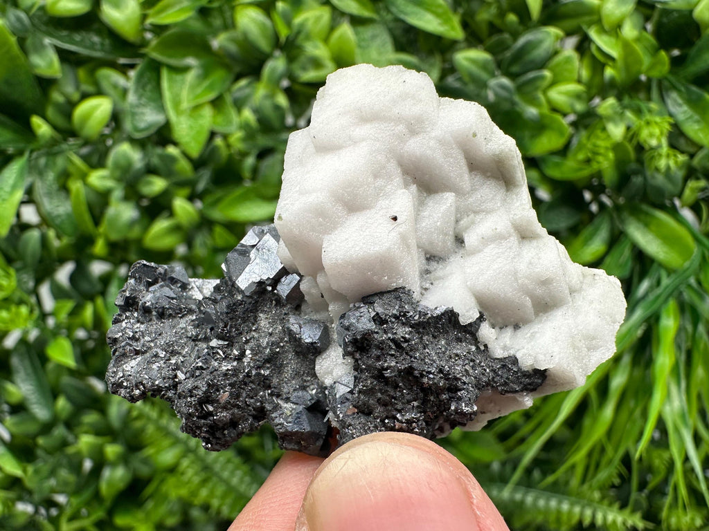 Galena Sphalerite Mineral Specimen: Calcite, Borieva Mine, Bulgaria