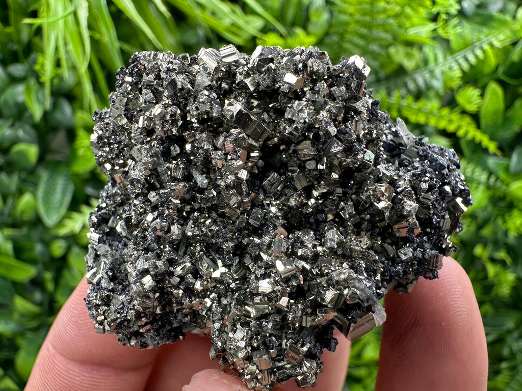 Pyrite on Quartz Needles, Borieva Mine Bulgaria, Mineral Specimen