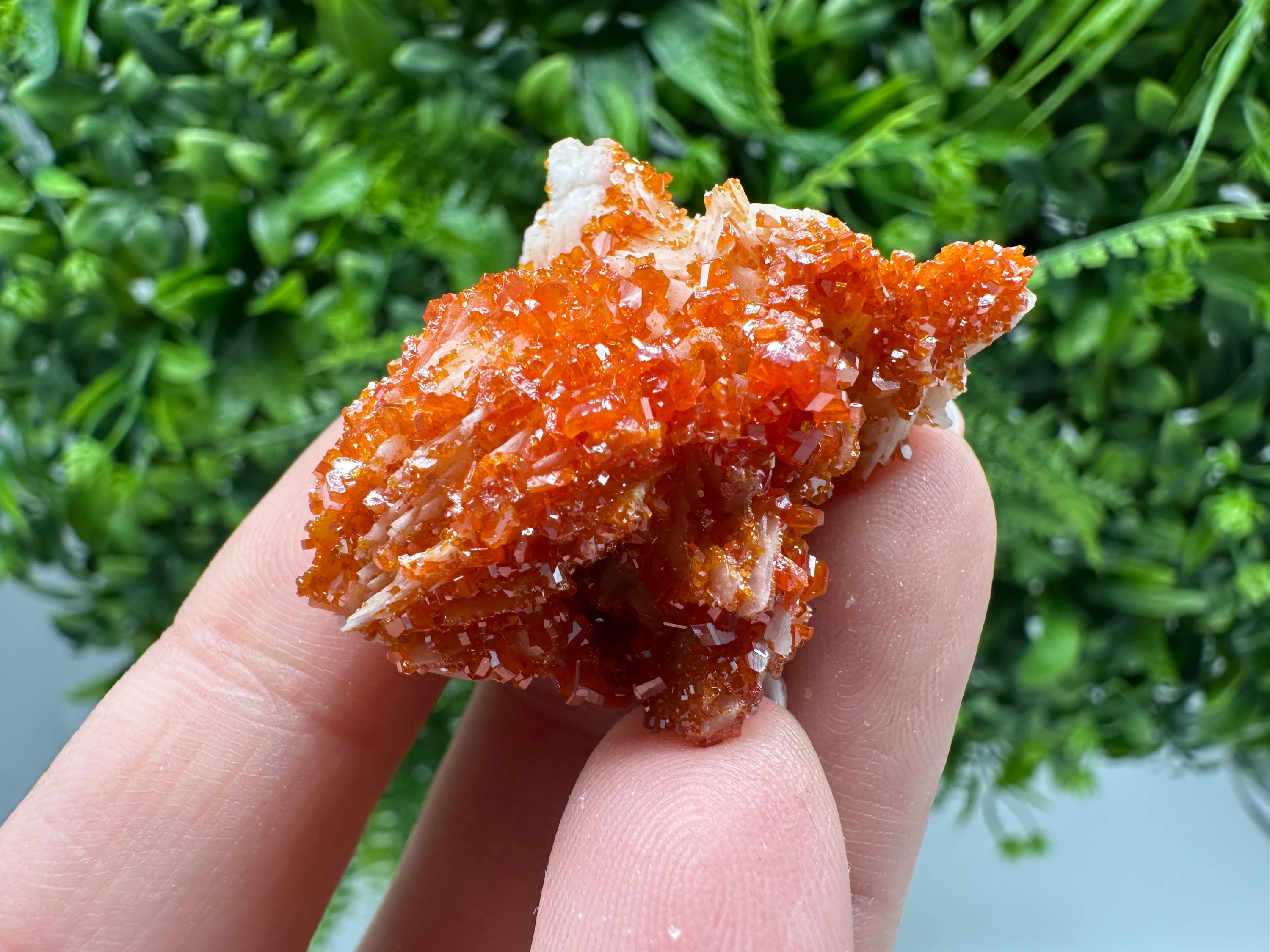Red Vanadinite on Barite Cluster, Morocco Mineral Specimen