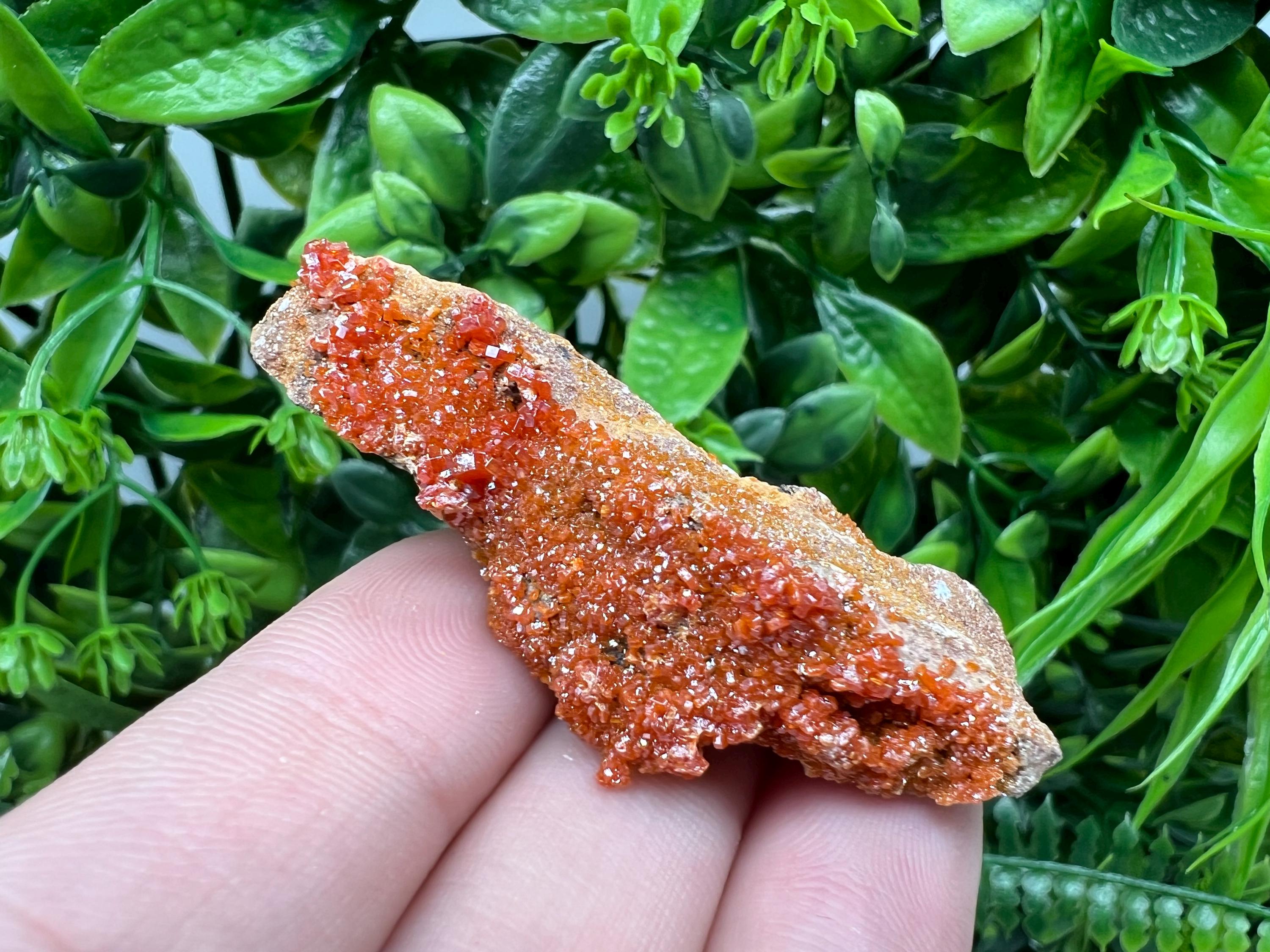 Red Vanadinite on Barite from Marocco,crystal minerals Speciment cluster Vanadinite crystal Vanadinite Geology Vanadinite cluster minerals