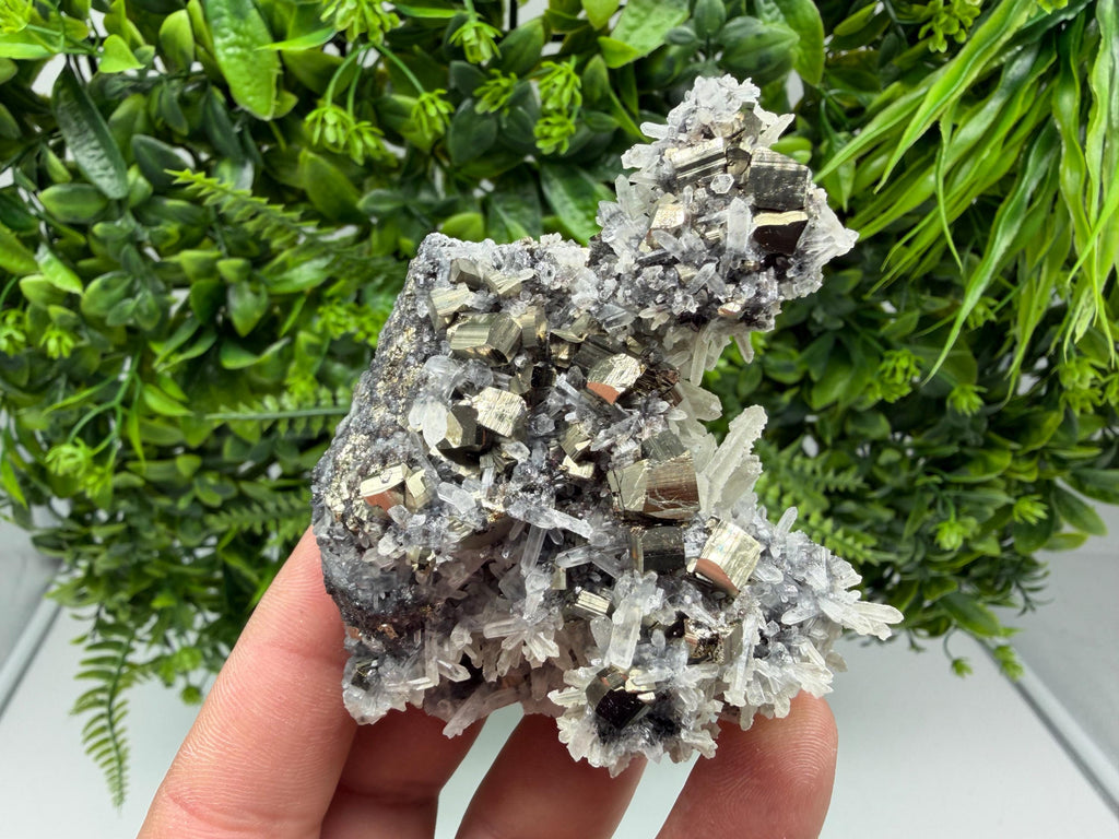 Rainbow Pyrite, Sphalerite on Quartz: Natural Crystal Souvenir