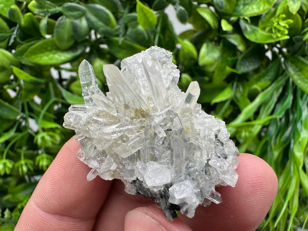 Transparent Quartz on Chlorite Matrix, Borieva Mine Mineral Specimen