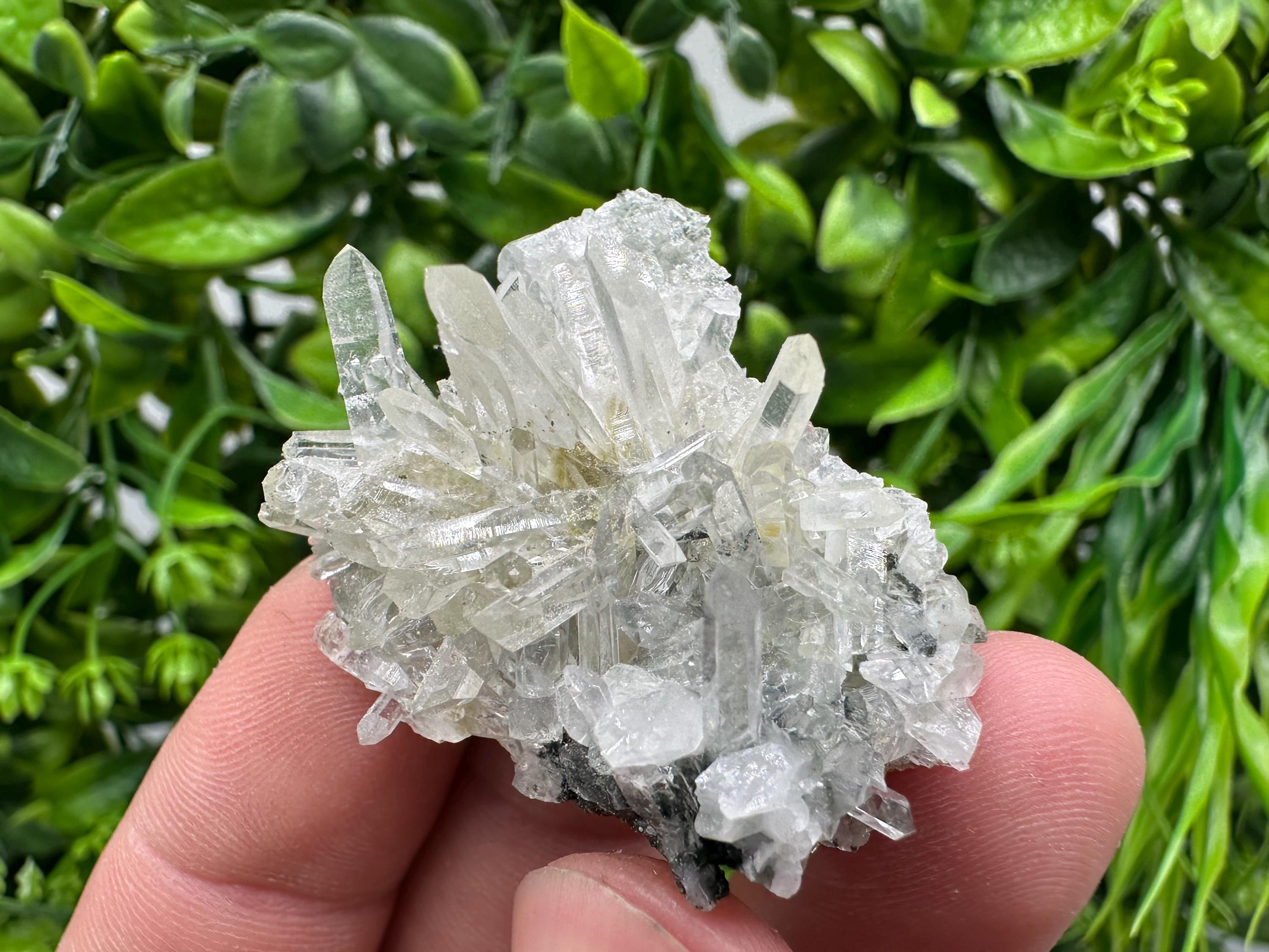 Transparent Quartz on Chlorite Matrix, Borieva Mine Mineral Specimen