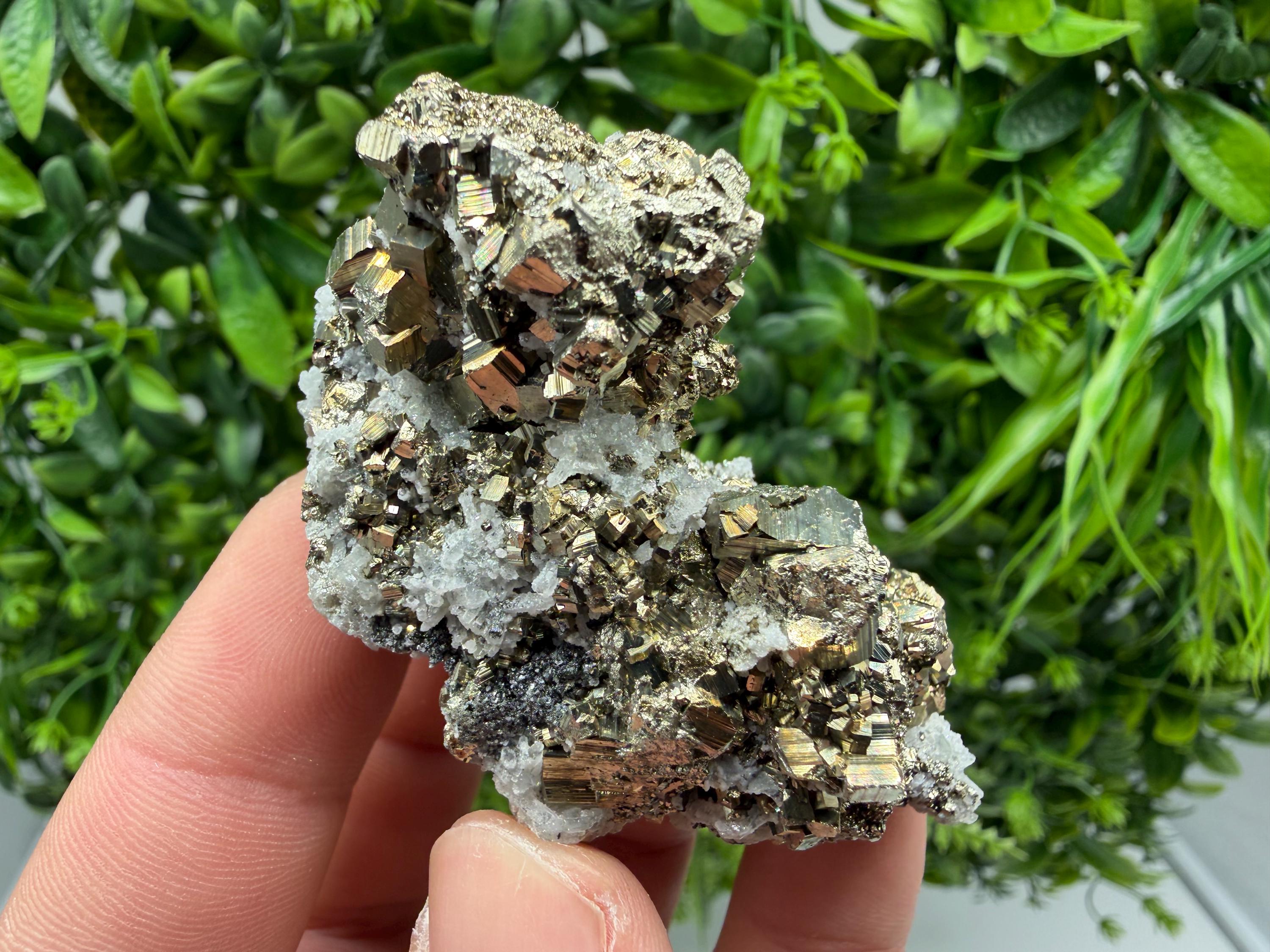 Pyrite Sphalerite Quartz  Mineral Specimen, Krushev dol Mine