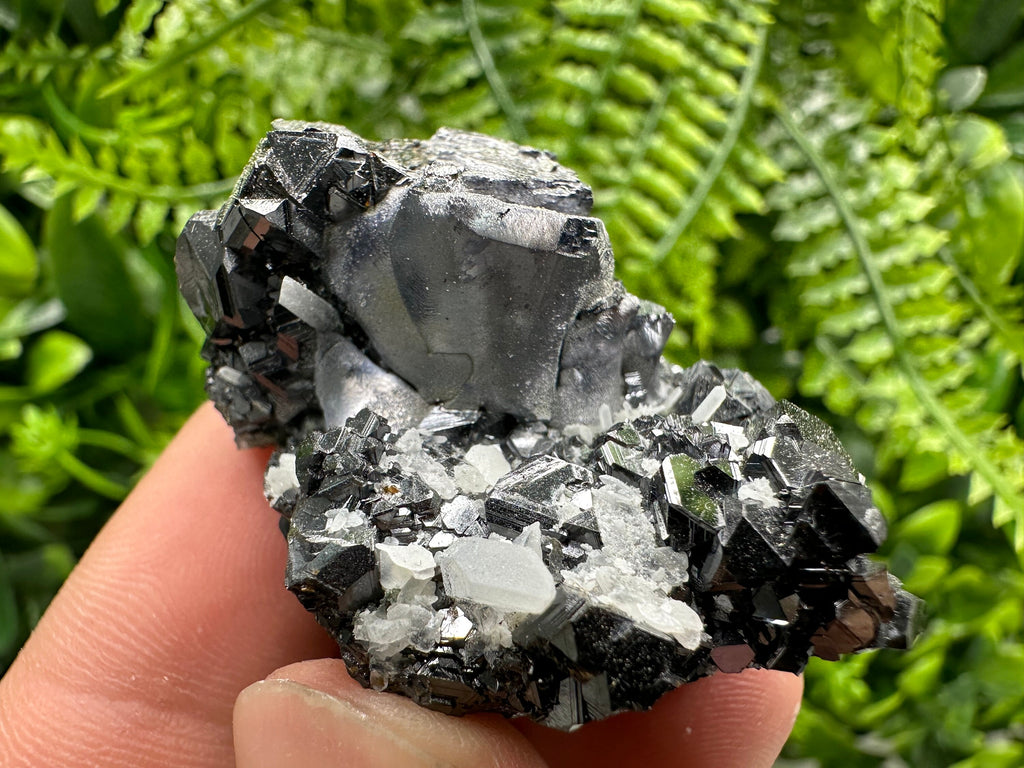 Mirror Galena on Sphalerite with Quartz, Borieva Mine Mineral Specimen
