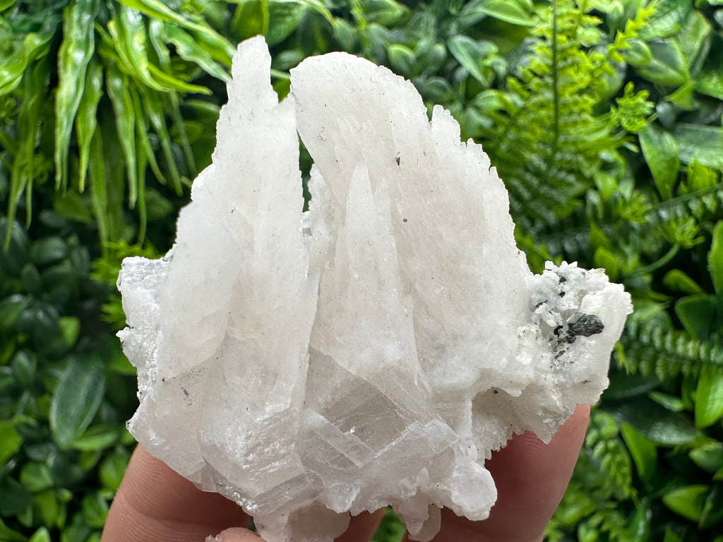Calcite on Green Quartz: Djurcovo Mine, Bulgaria Healing Crystal