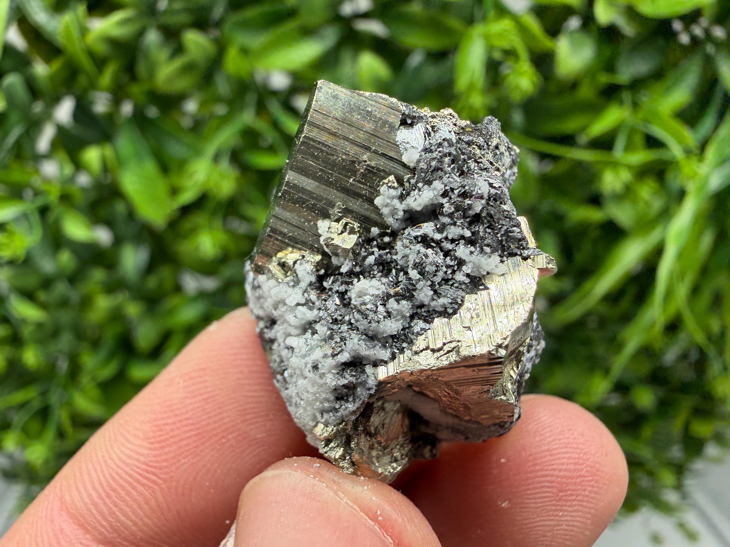 Pyrite Sphalerite Quartz  Mineral Specimen, Krushev dol Mine