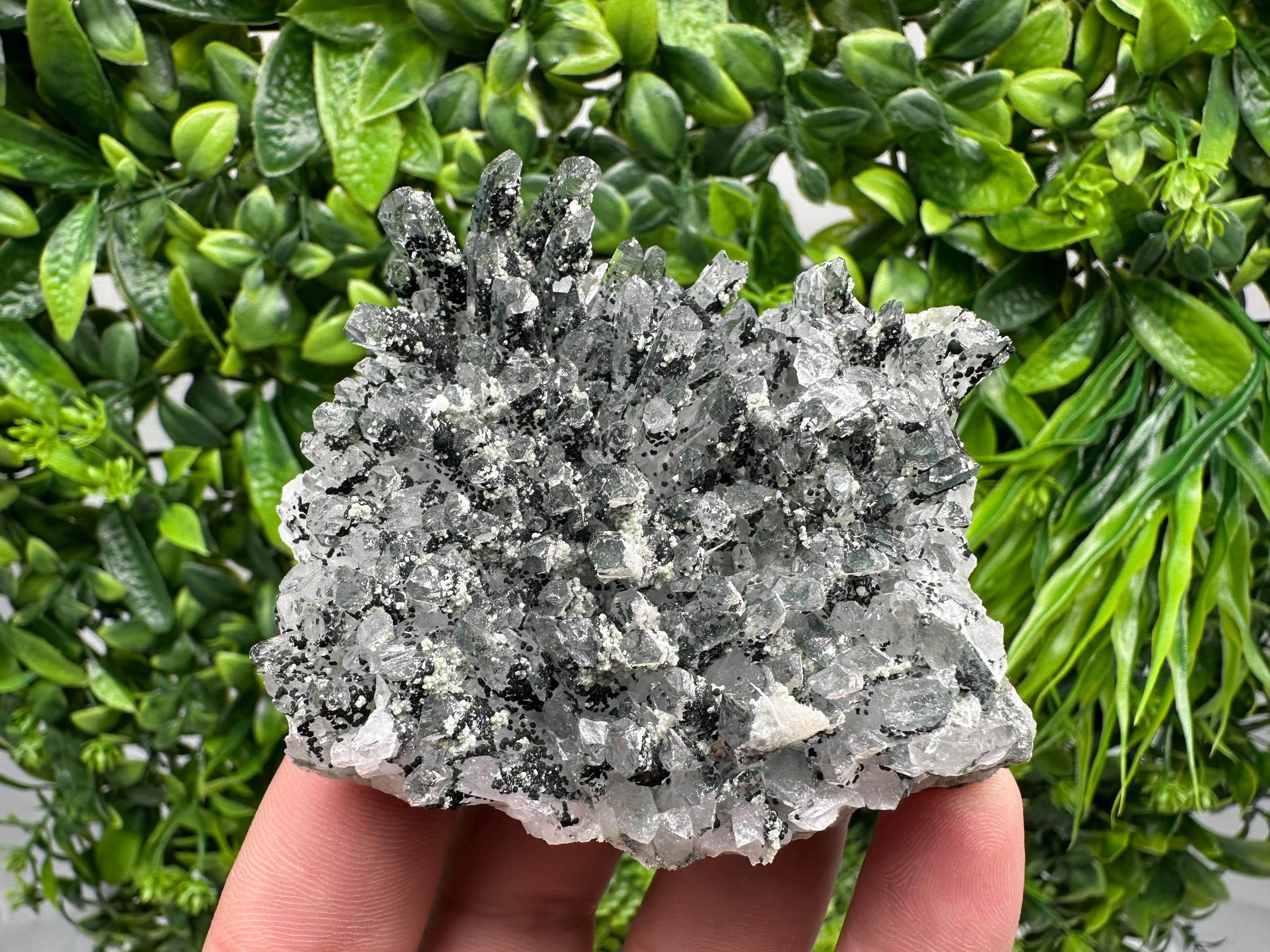Chlorite Quartz Mineral Specimen, Borieva Mine, Bulgaria