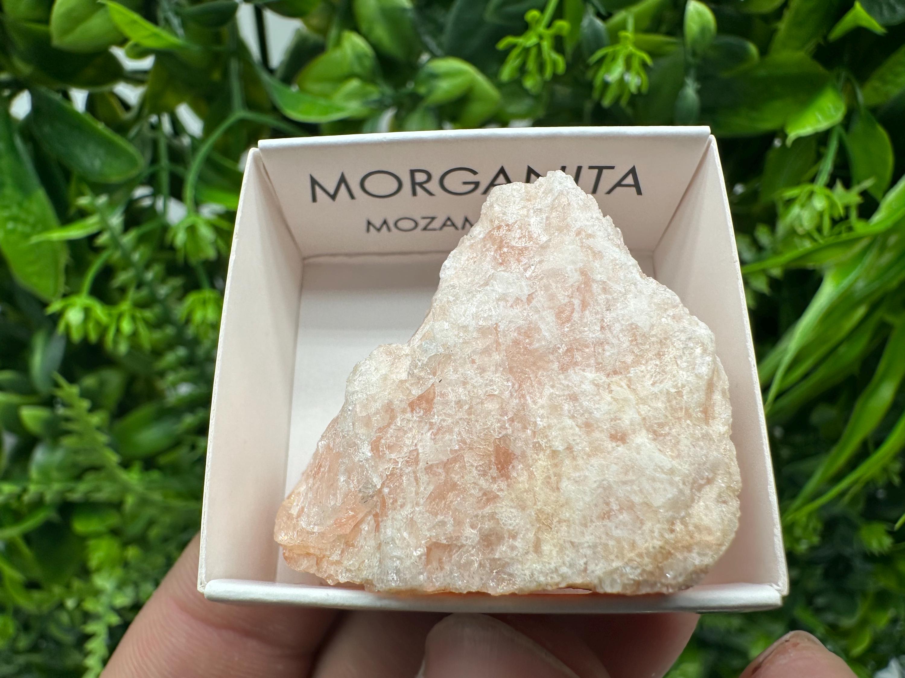Rare Raw Morganite Mineral Specimen: Mozambique Crystal (4/4 cm)