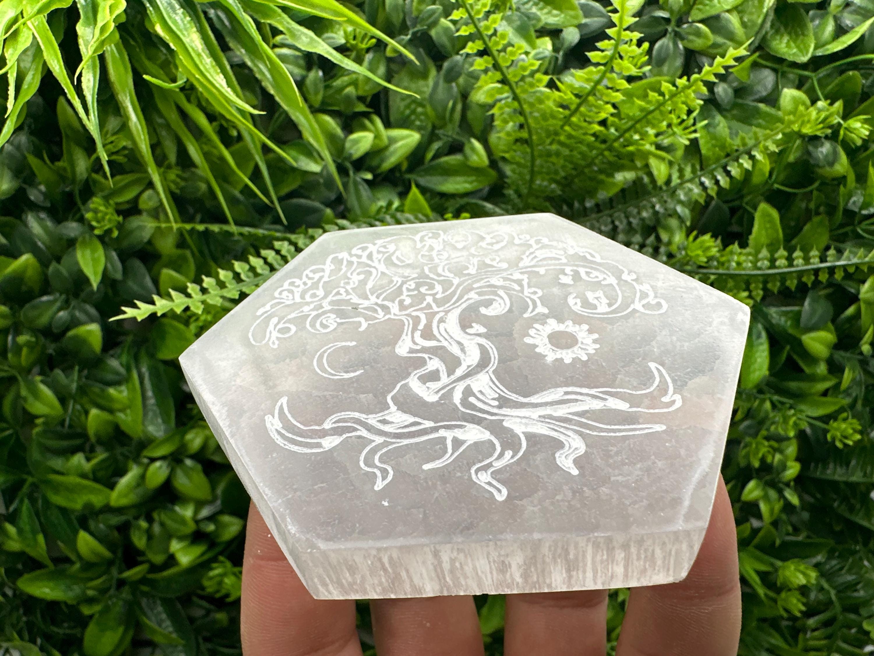 Tree of Life Selenite Plate: Crystal Recharging & Stone Purification (10/10cm)
