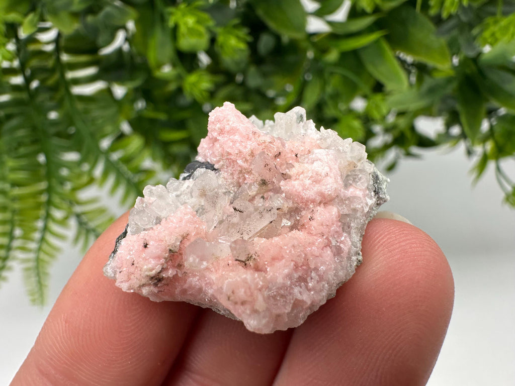 Pink Rhodochrosite Crystal: Starnica Mine, Bulgaria, Home Decor