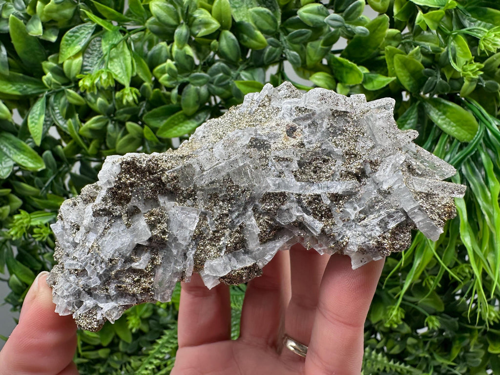 Marcasite Cluster,Barite on Chalcedony, Bulgaria Mineral Specimen
