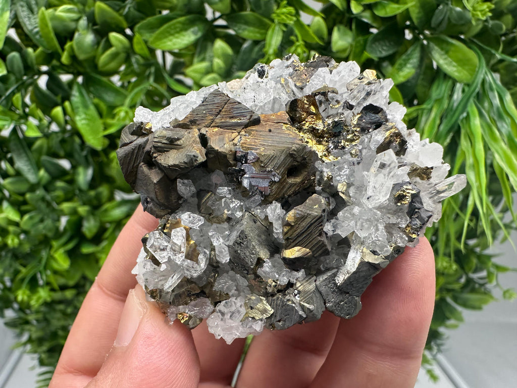 Chalcopyrite on Quartz, Chlorite Mineral Specimen, Djurcovo Mine, Bulgaria
