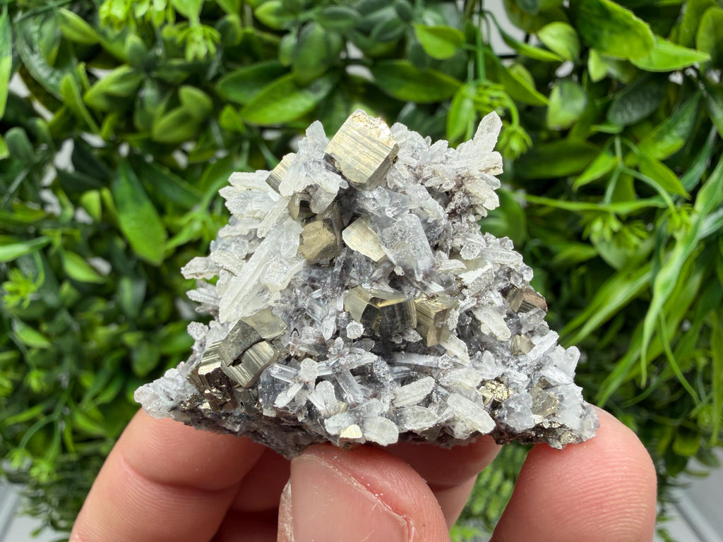 Pyrite Sphalerite Quartz  Mineral Specimen, Krushev dol Mine
