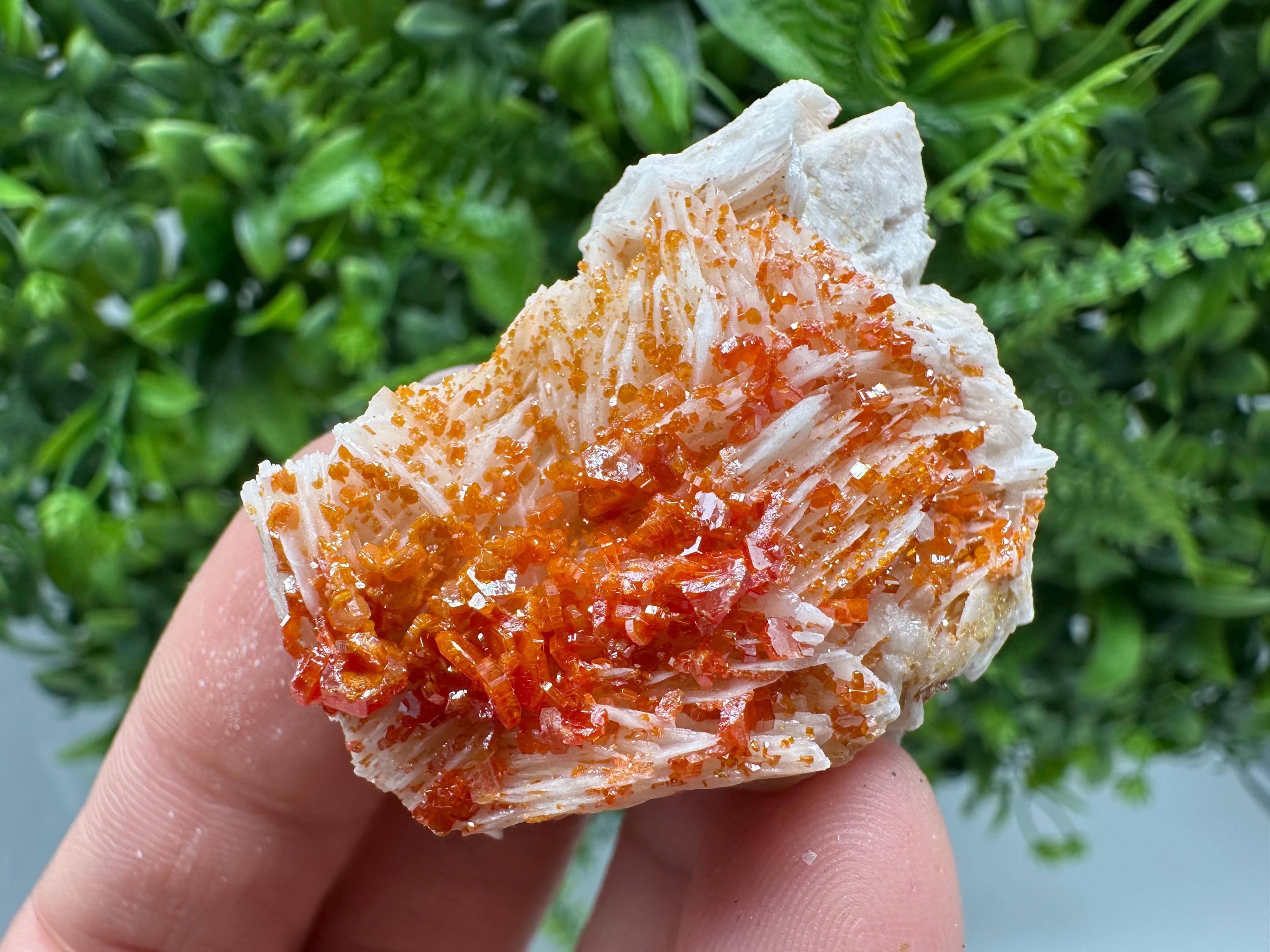 Red Vanadinite Crystal Cluster on Barite, Morocco Mineral Specimen
