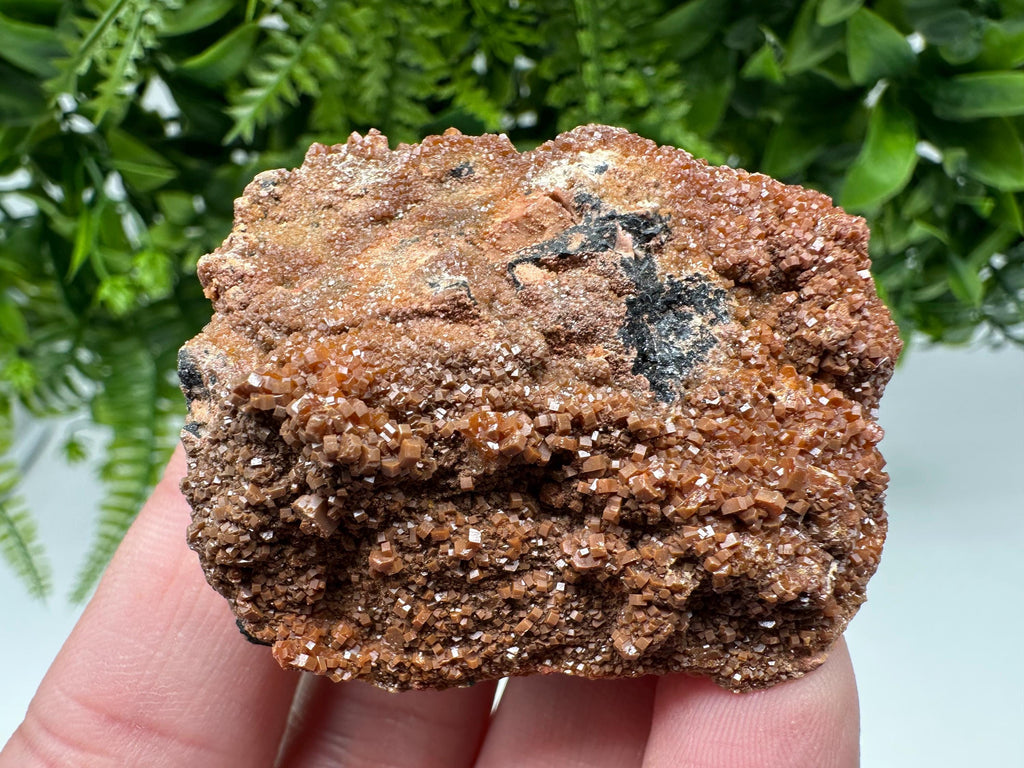 Red Vanadinite on Matrix from Marocco,crystal minerals Speciment cluster Vanadinite crystal Vanadinite Geology Vanadinite cluster minerals