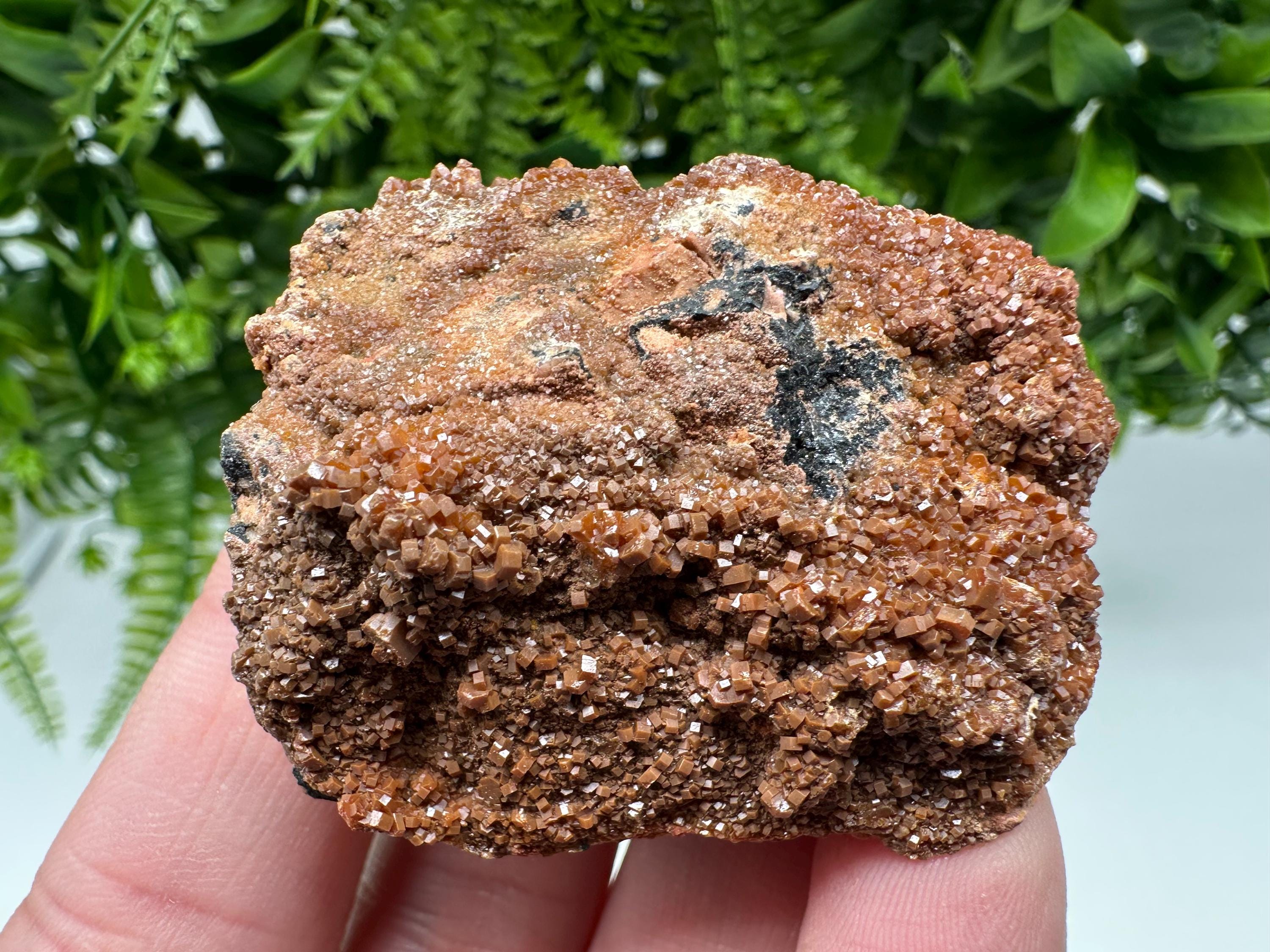 Red Vanadinite on Matrix from Marocco,crystal minerals Speciment cluster Vanadinite crystal Vanadinite Geology Vanadinite cluster minerals