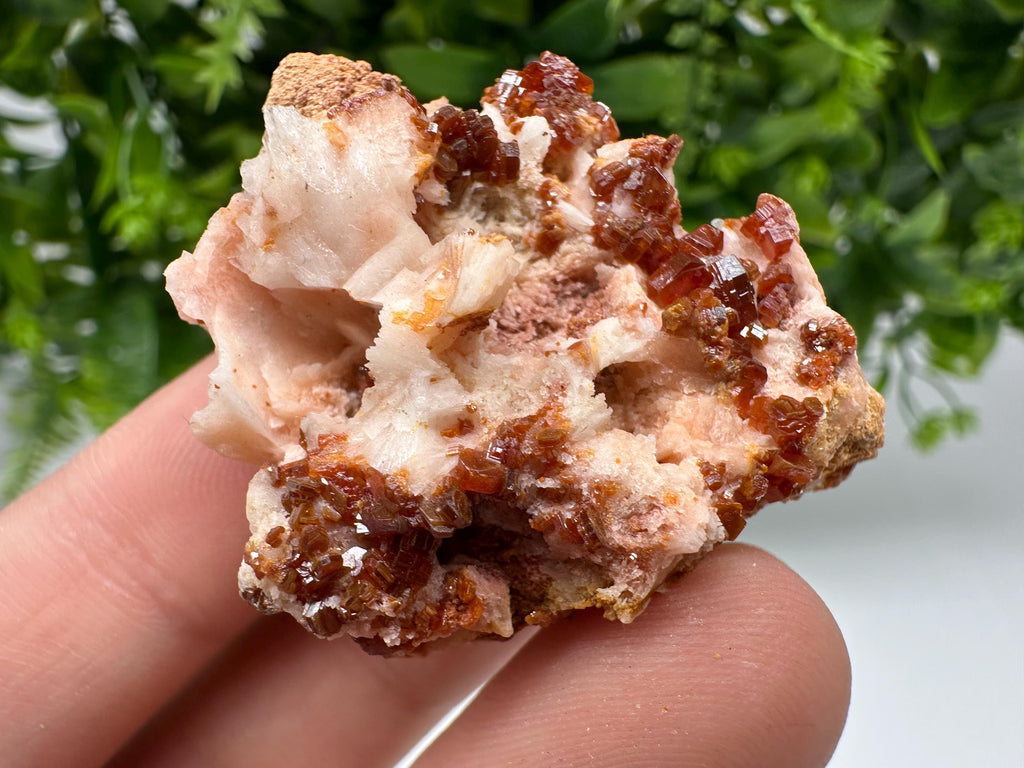 Red Vanadinite on Barite from Marocco,crystal minerals Speciment cluster Vanadinite crystal Vanadinite Geology Vanadinite cluster minerals