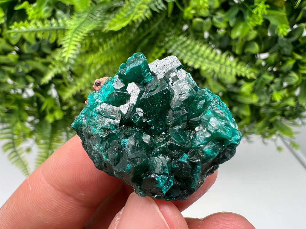 Stunning Green Dioptase from Sanda Hills,Mindouli,Pool Department,Mindouli District,Congo,green Dioptase,Dioptas Crystal,Dioptase collecting