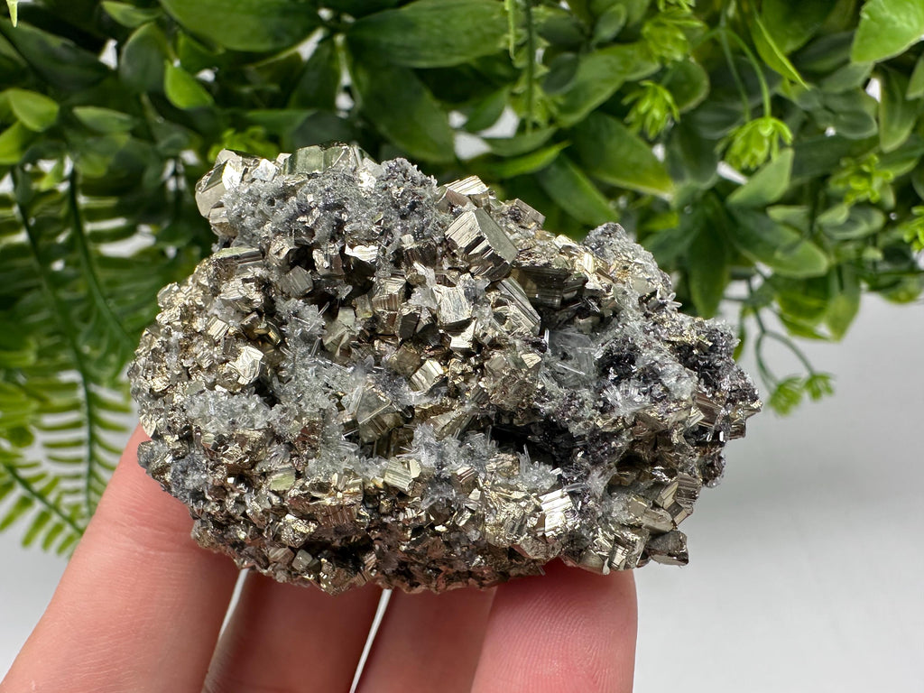 Pyrite on Green Quartz: Rare Mineral Specimen, Borieva Mine