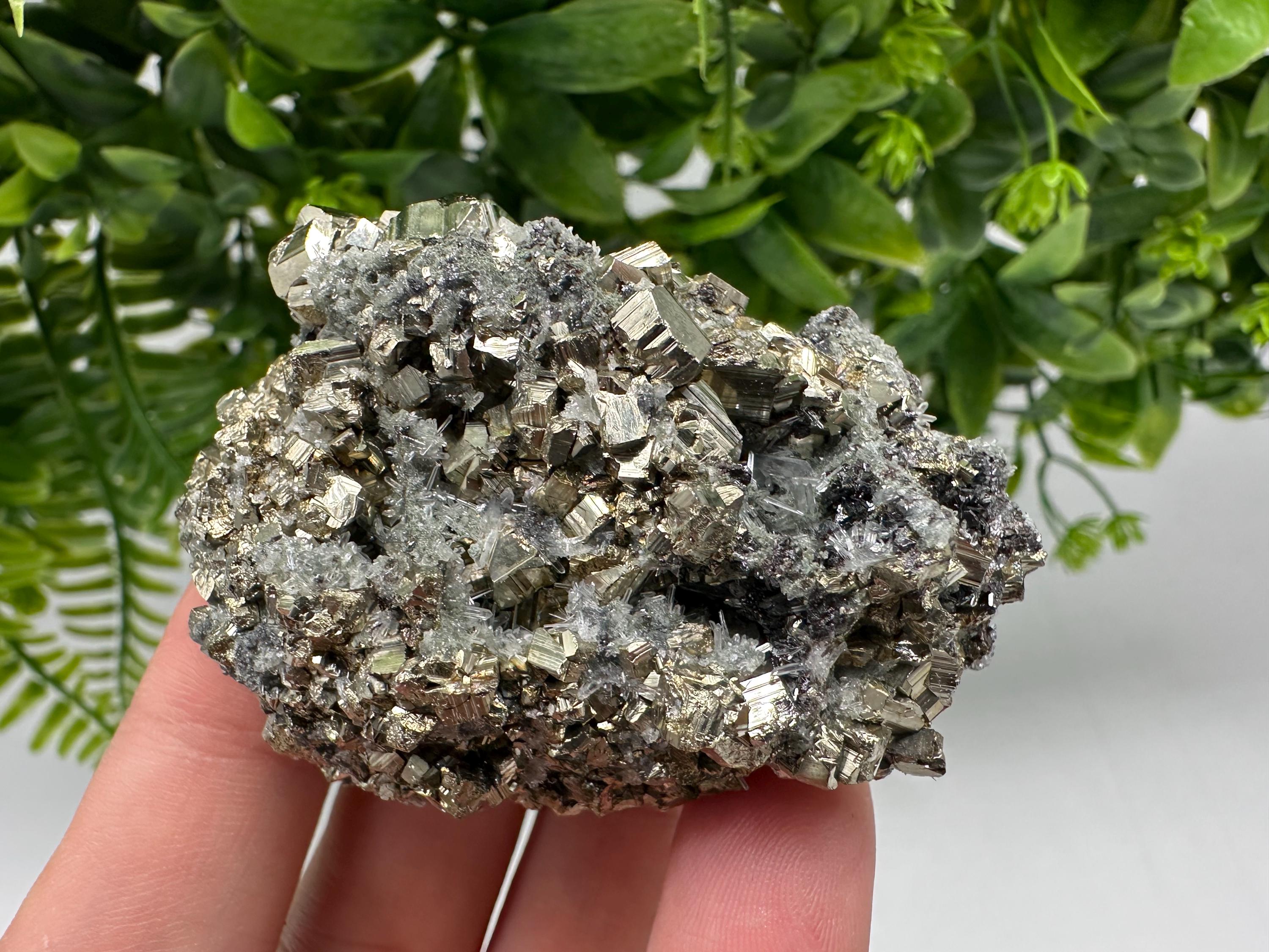 Pyrite on Green Quartz: Rare Mineral Specimen, Borieva Mine