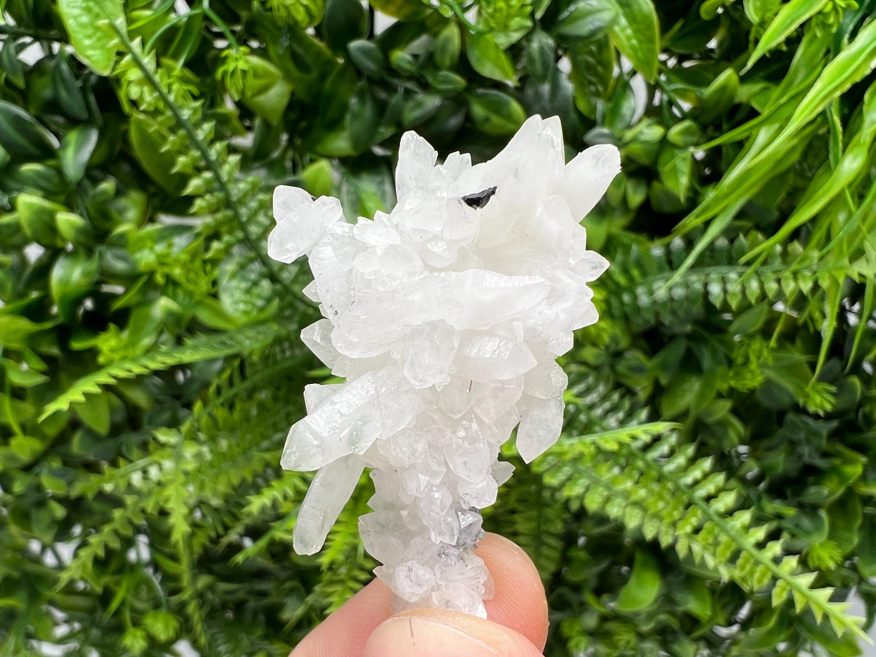 Wonderful Transparent Quartz on Chlorite Matrix,From Borieva mine,Madan,Bulgaria,Quartz,Quartz crystal,mineral specimen,collection quartz