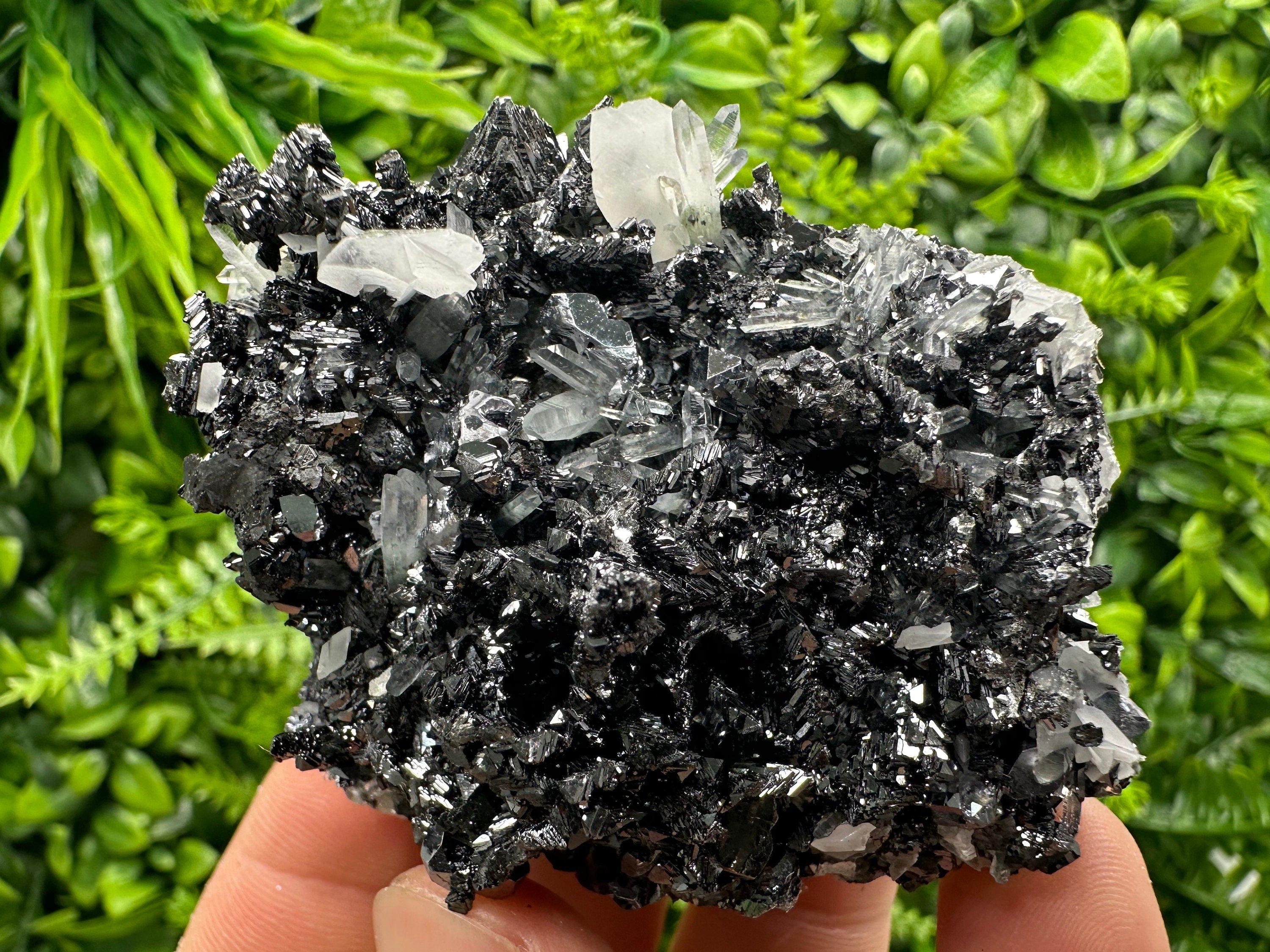 Pyrite Calcite on Sphalerite with Quartz, Bulgaria Mineral Specimen