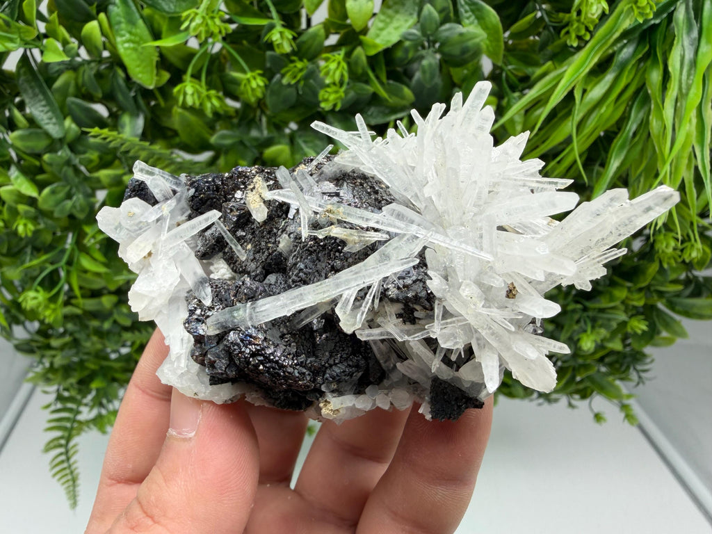 Borieva Sphalerite on Quartz: Rare Mineral Cluster