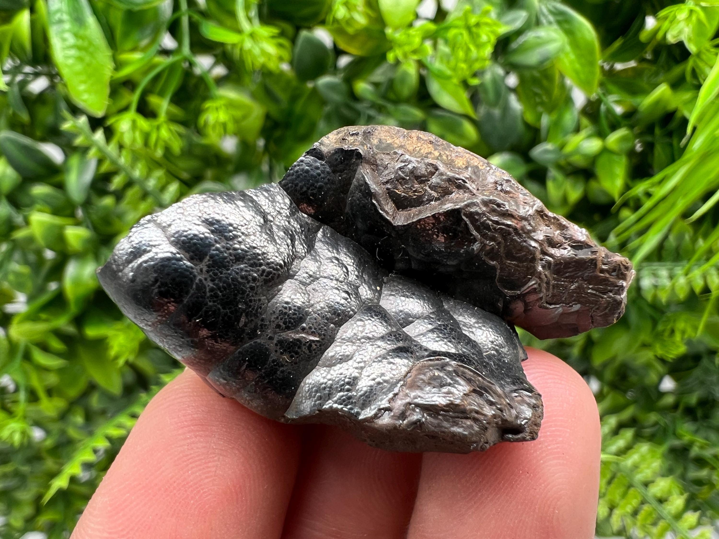 Moroccan Botryoidal Black Hematite Specimen: Chakra Reiki Crystal