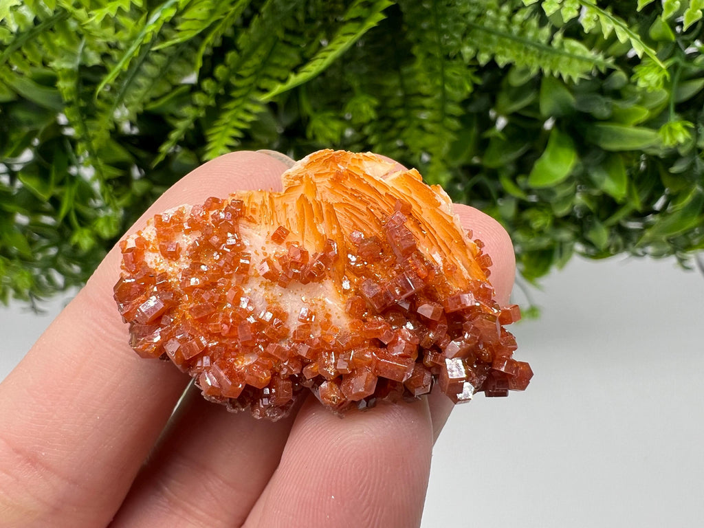 Red Vanadinite on Barite, Moroccan Crystal Mineral Specimen