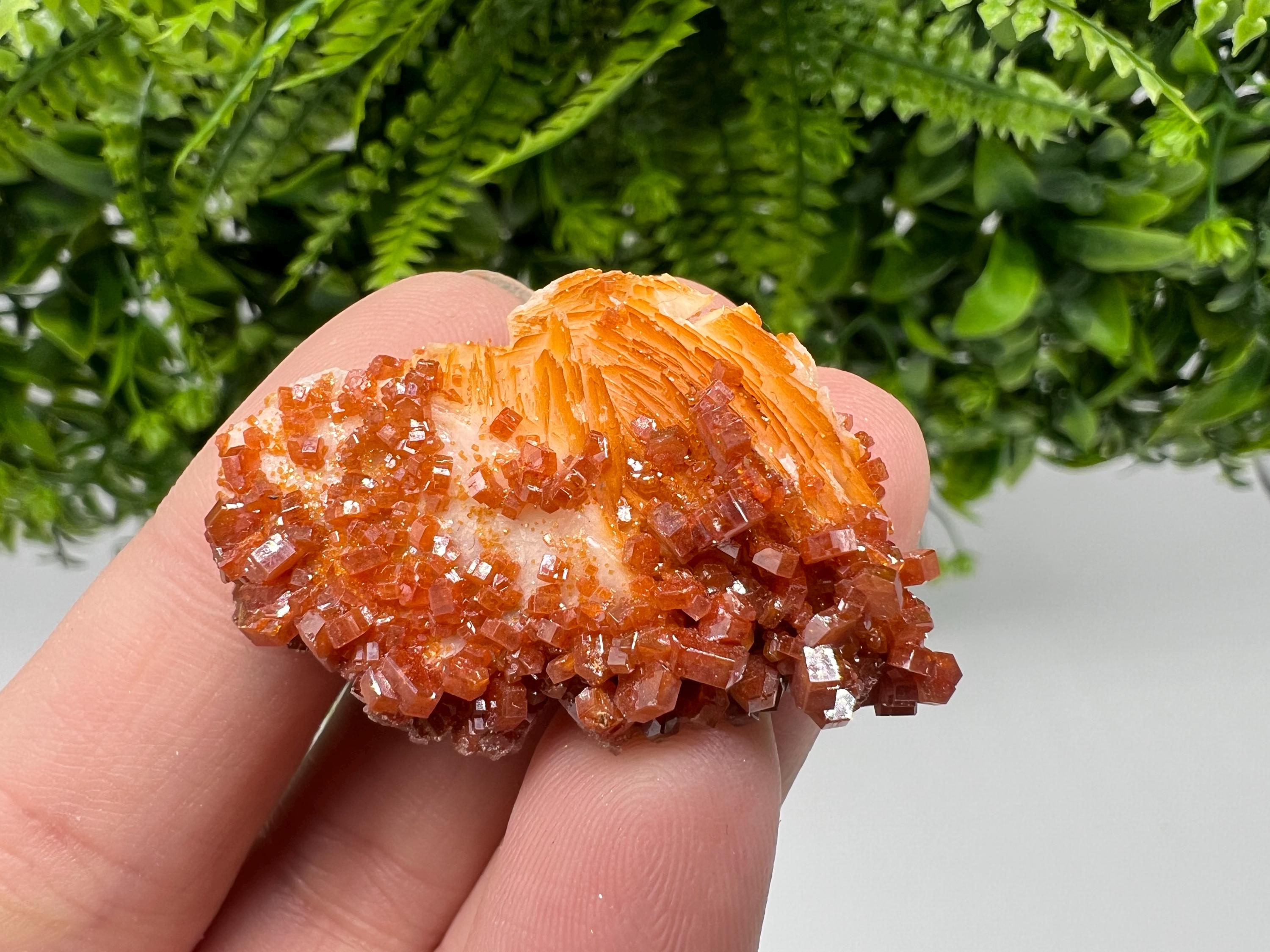 Red Vanadinite on Barite, Moroccan Crystal Mineral Specimen