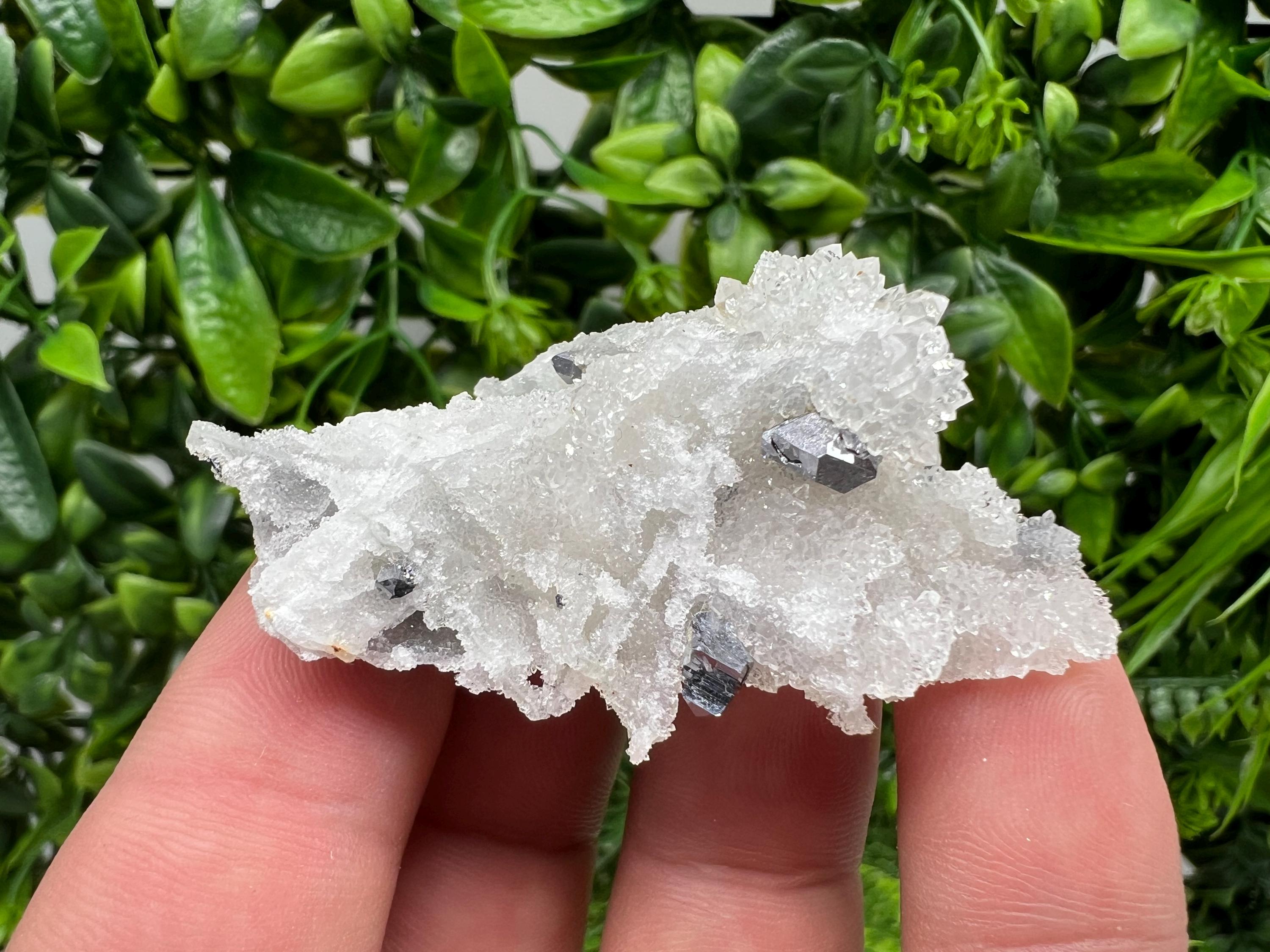 Galena on Chalcedony Specimen: Krushev Dol Mine, Bulgaria