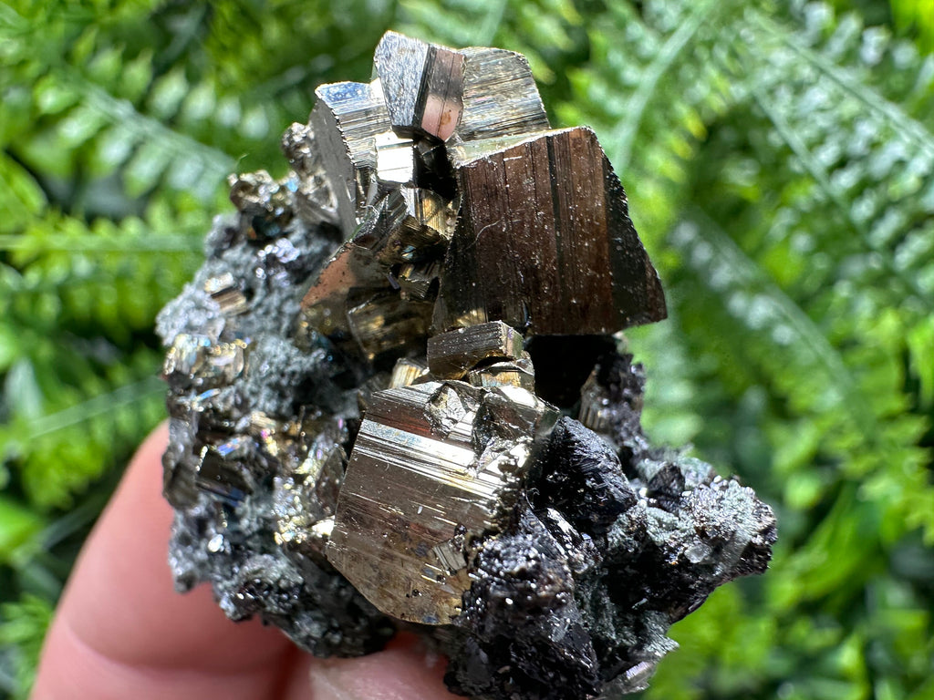 Pyrite on Quartz with Chlorite, Natural Crystal Mineral Specimen