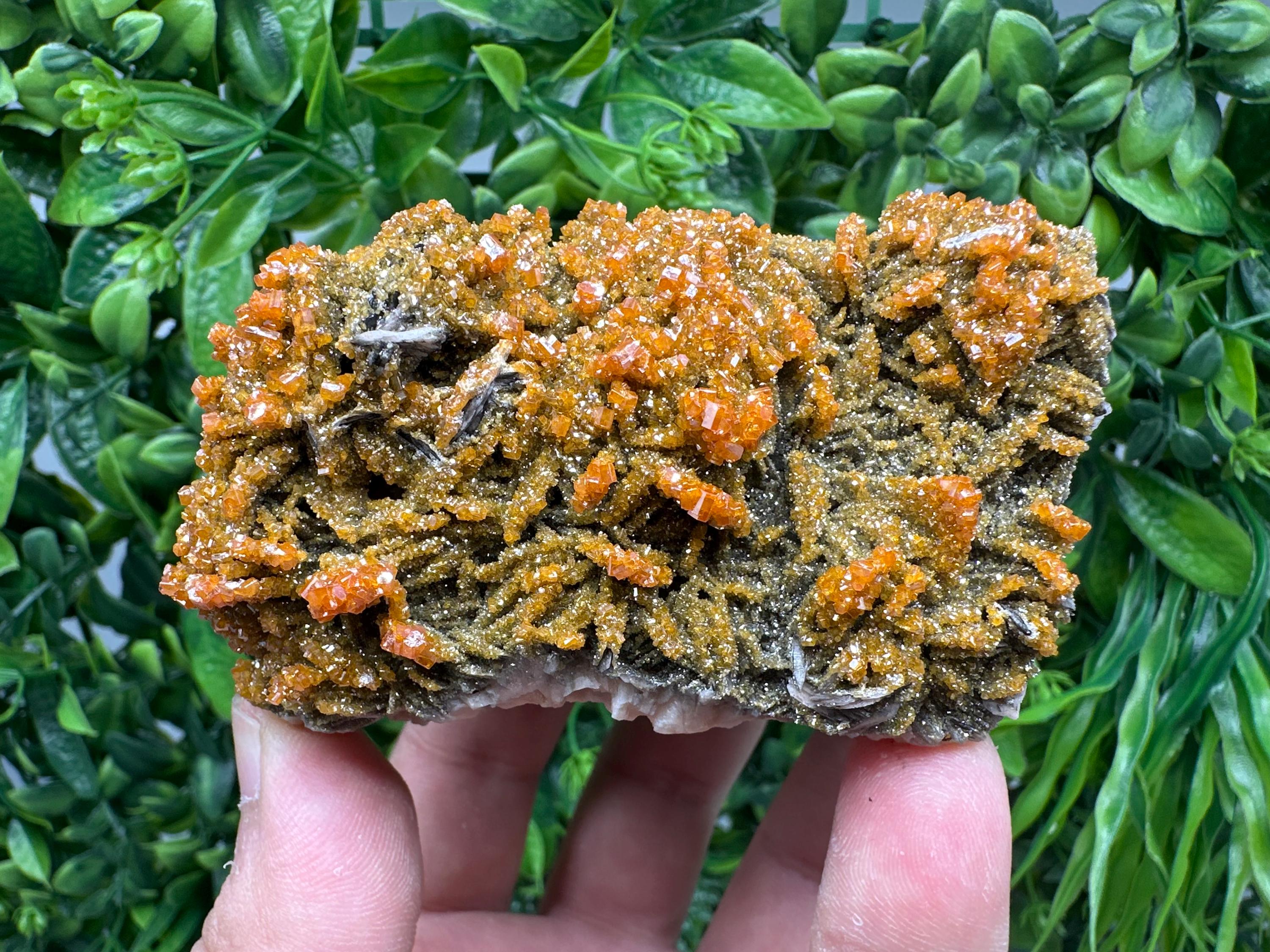 VERY Rare red Vanadinite on Barite whit Goethite from Marocco,crystal minerals Speciment cluster Vanadinite crystal Vanadinite Geology Vanad