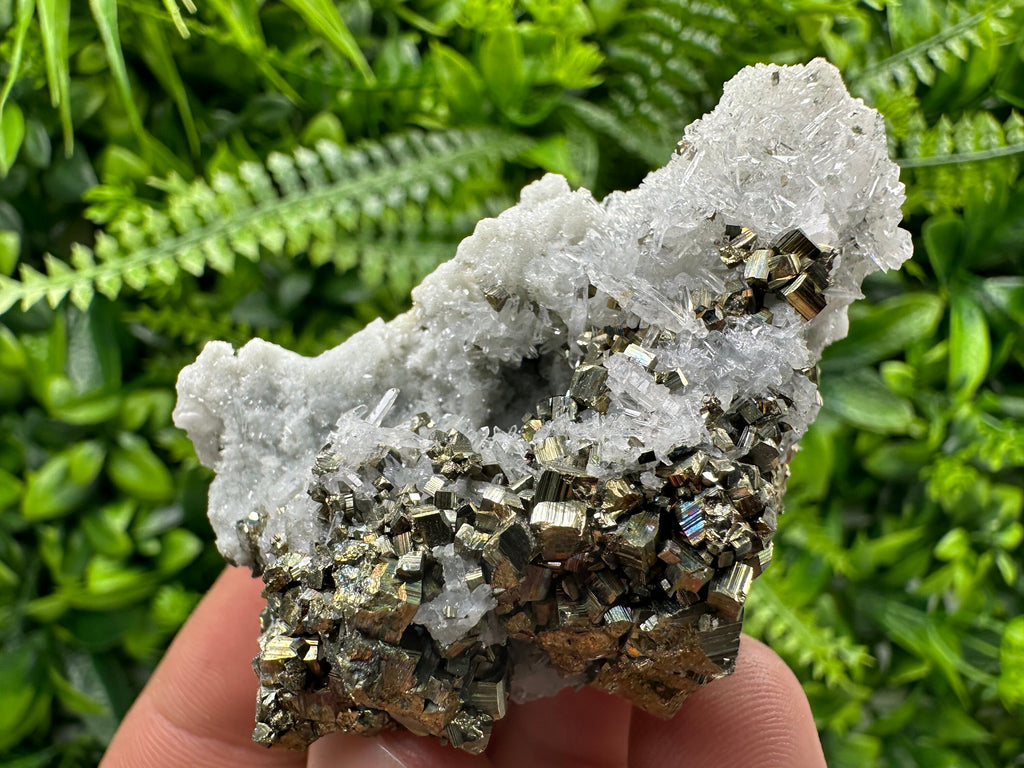 Pyrite on Quartz: Borieva Mine Crystal Home Decor