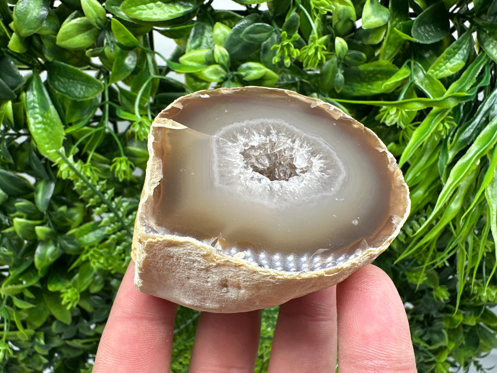 Natural Agate Druzy Geode: Quartz Crystal, 264 grams