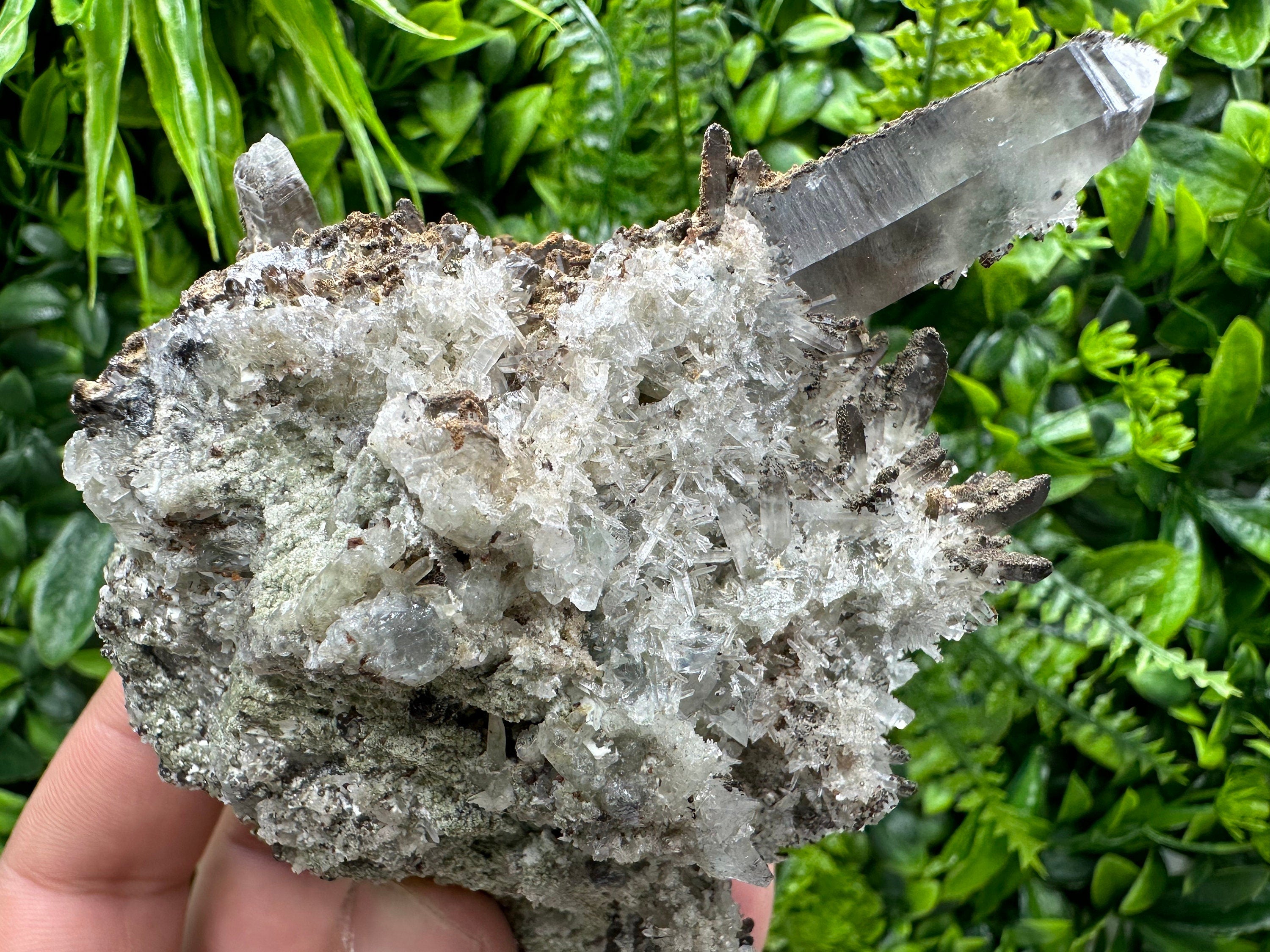 Quartz Crystal Specimen: Smoky, Clear, Chalcopyrite, Siderite, Calcite