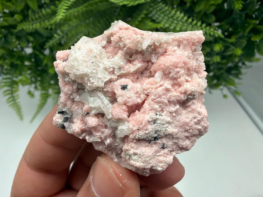 Pink Rhodochrosite Crystal, Starnica Mine, Bulgaria, Mineral Decor