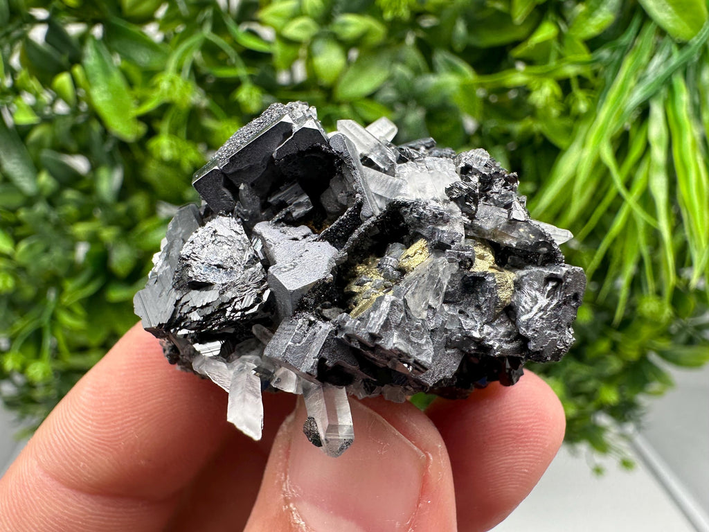 Wonderful Sphalerite Chalcopyrite on  Quartz whit Galena feom 9 th September mine,Bulgaria,natural,collection mineral specimen,gift