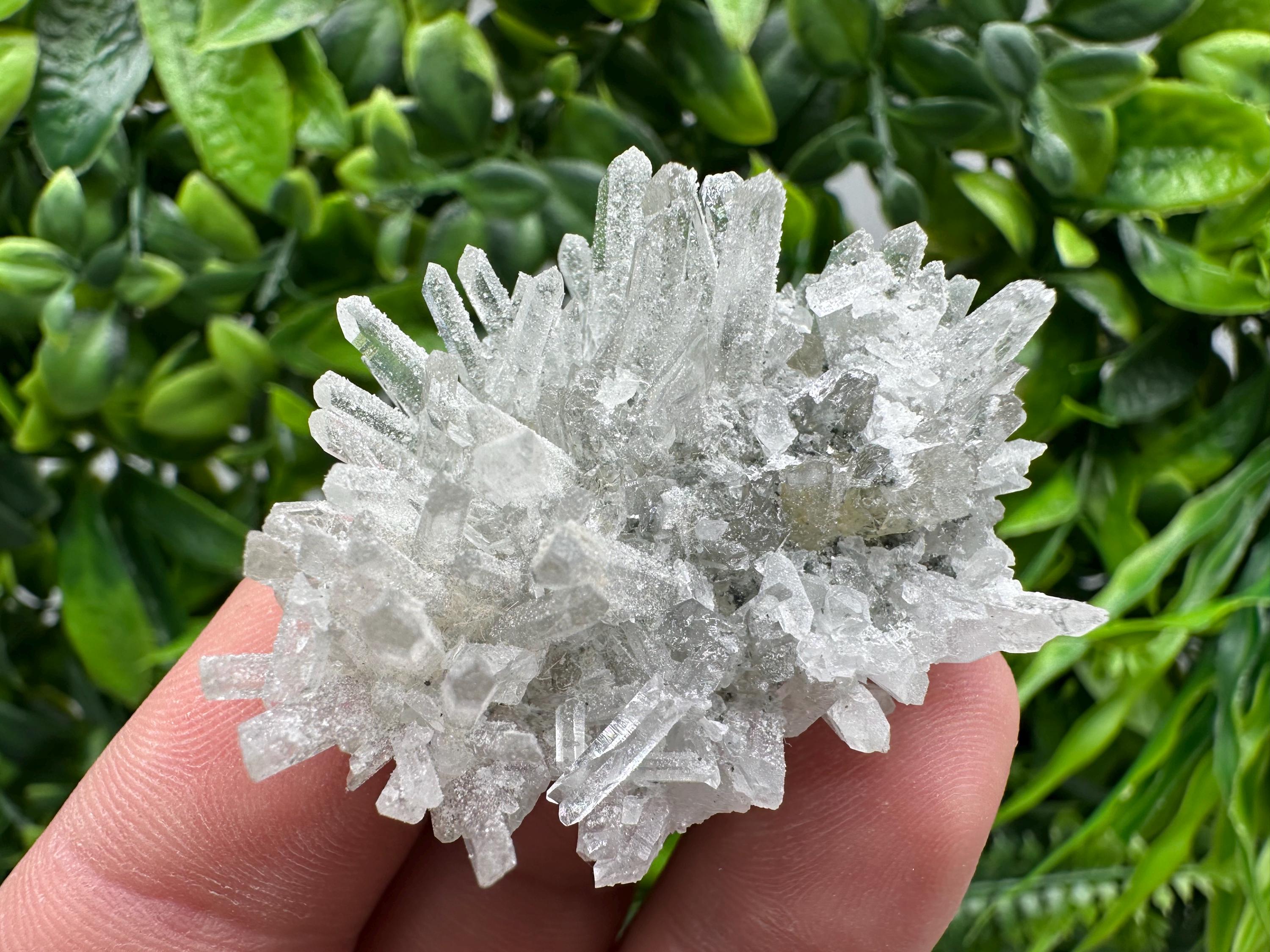 Transparent Quartz on Chlorite Matrix, Borieva Mine, Bulgaria