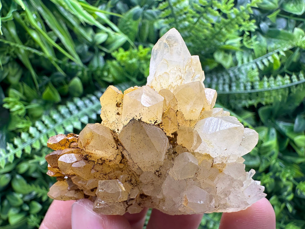 Transparent Quartz Cluster: Natural Mineral Specimen, Bulgaria