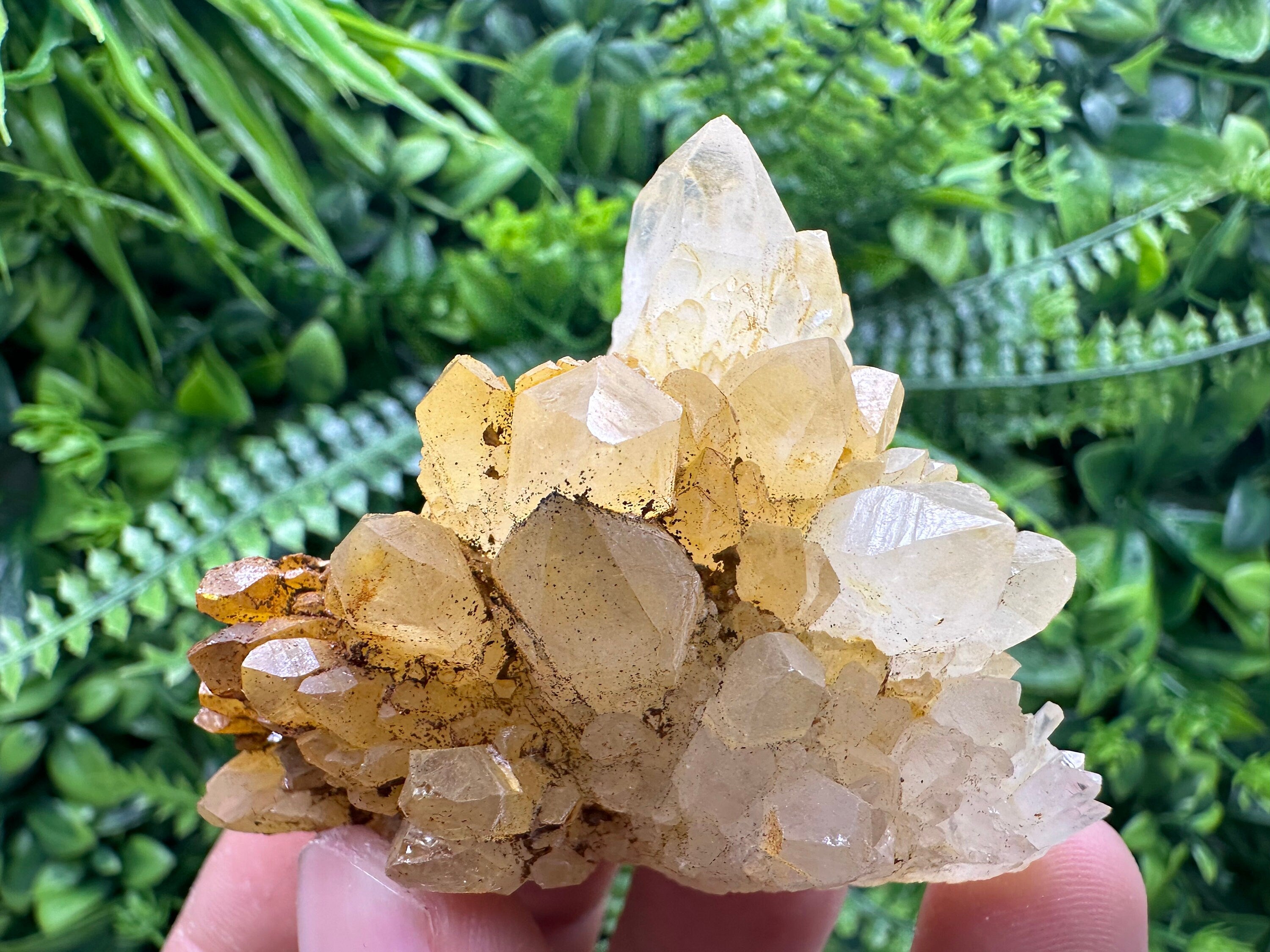 Transparent Quartz Cluster: Natural Mineral Specimen, Bulgaria