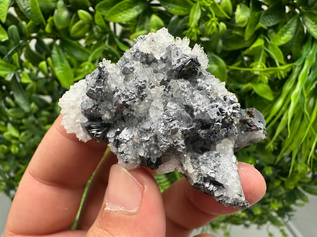 Rare Galena Sphalerite Pyrite Mineral Specimen: Krushev Dol Mine, Bulgaria