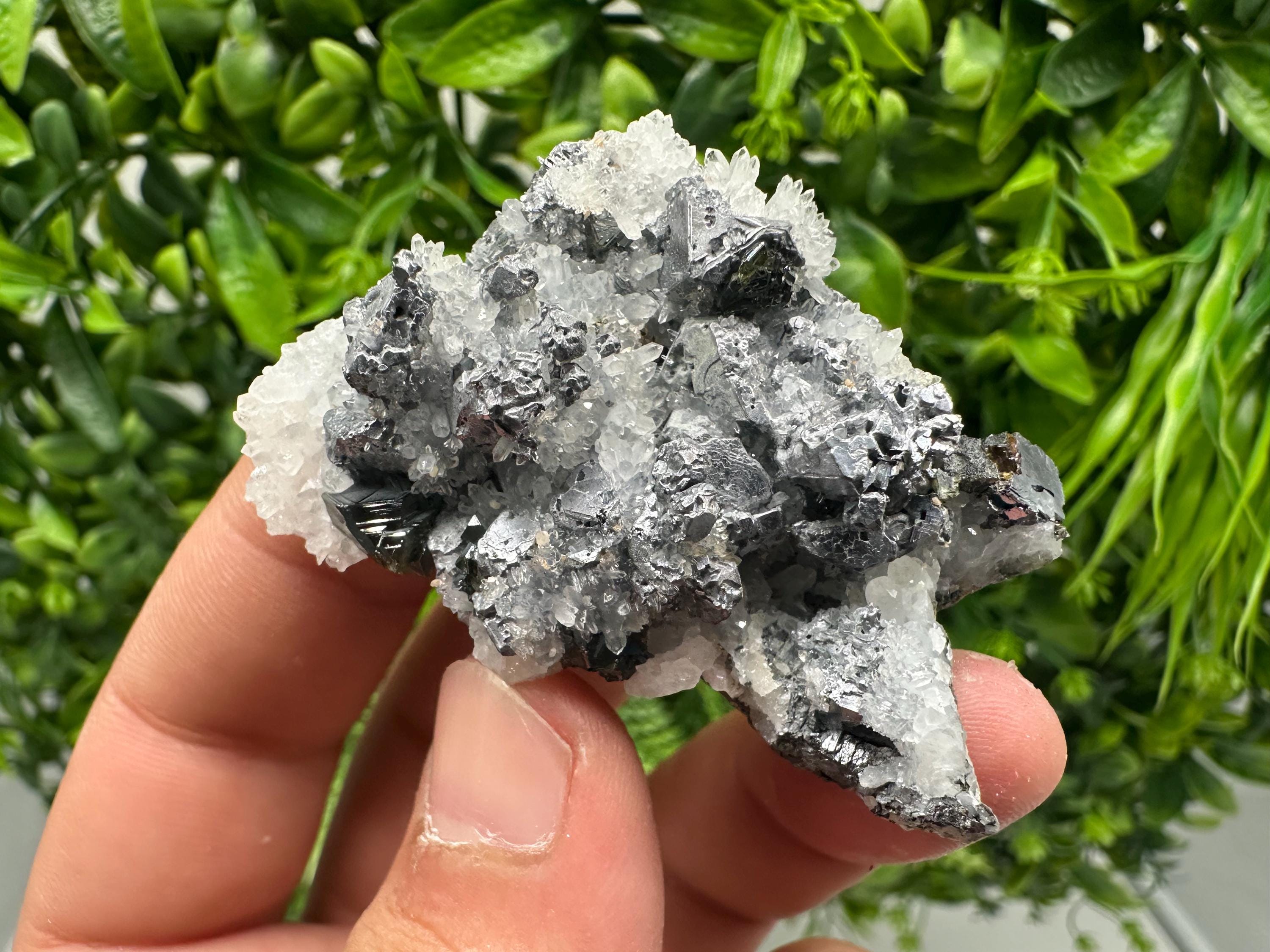 Rare Galena Sphalerite Pyrite Mineral Specimen: Krushev Dol Mine, Bulgaria
